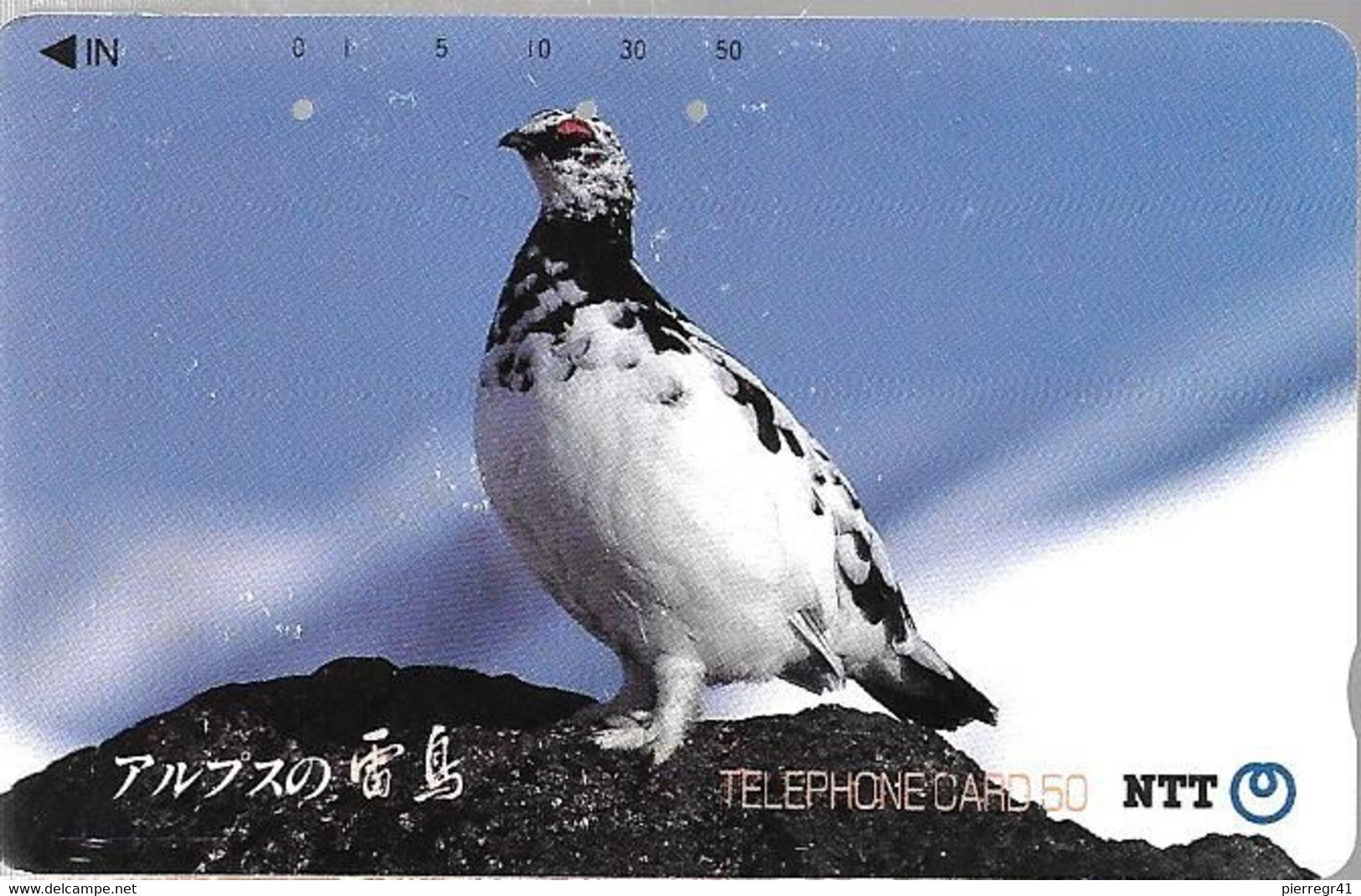 CARTE-MAGNETIQUE-JAPON-1987-BUZARD-TBE - Adler & Greifvögel