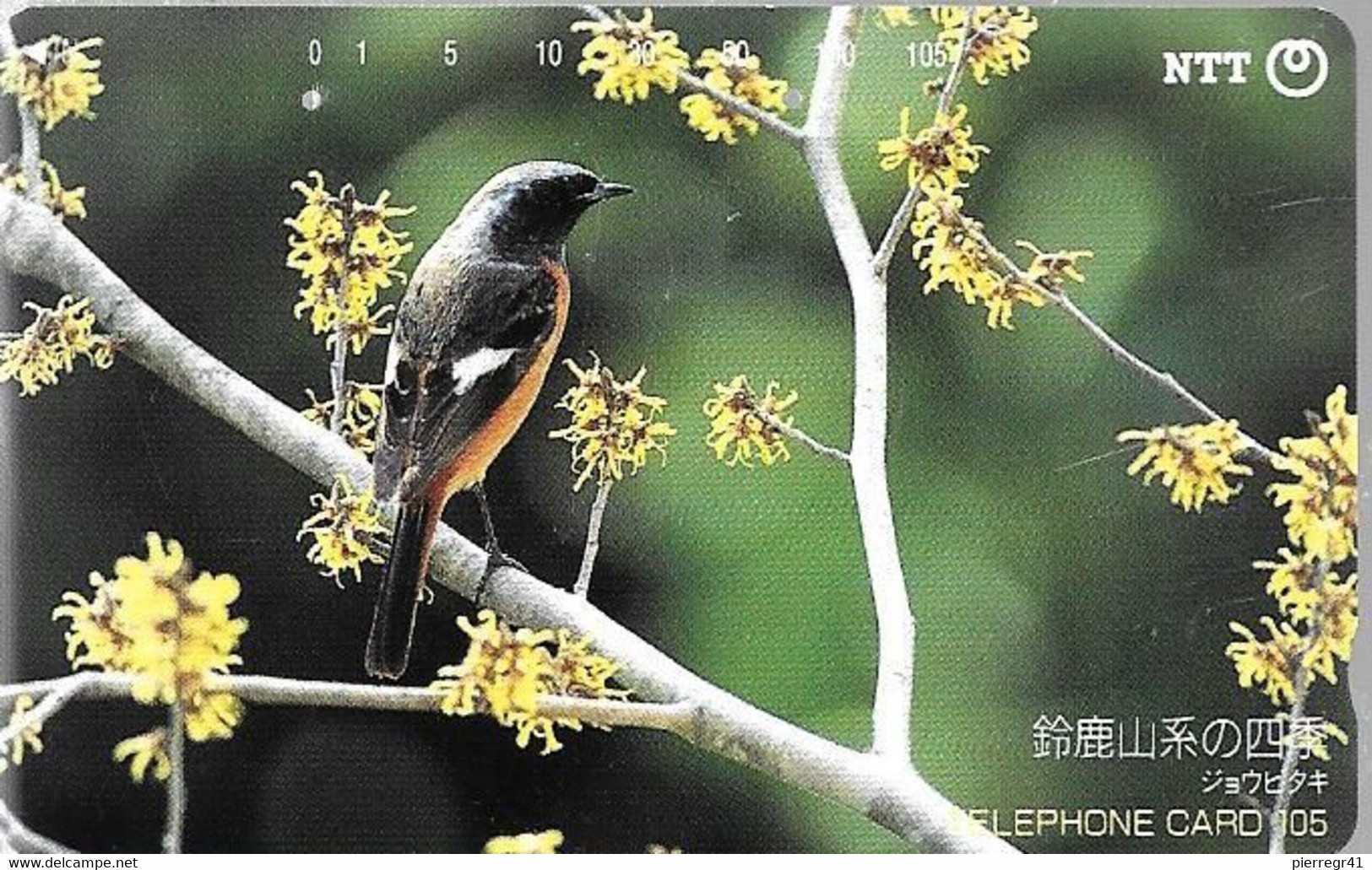 CARTE-MAGNETIQUE-JAPON-1987-PASSEREAU-TBE - Songbirds & Tree Dwellers