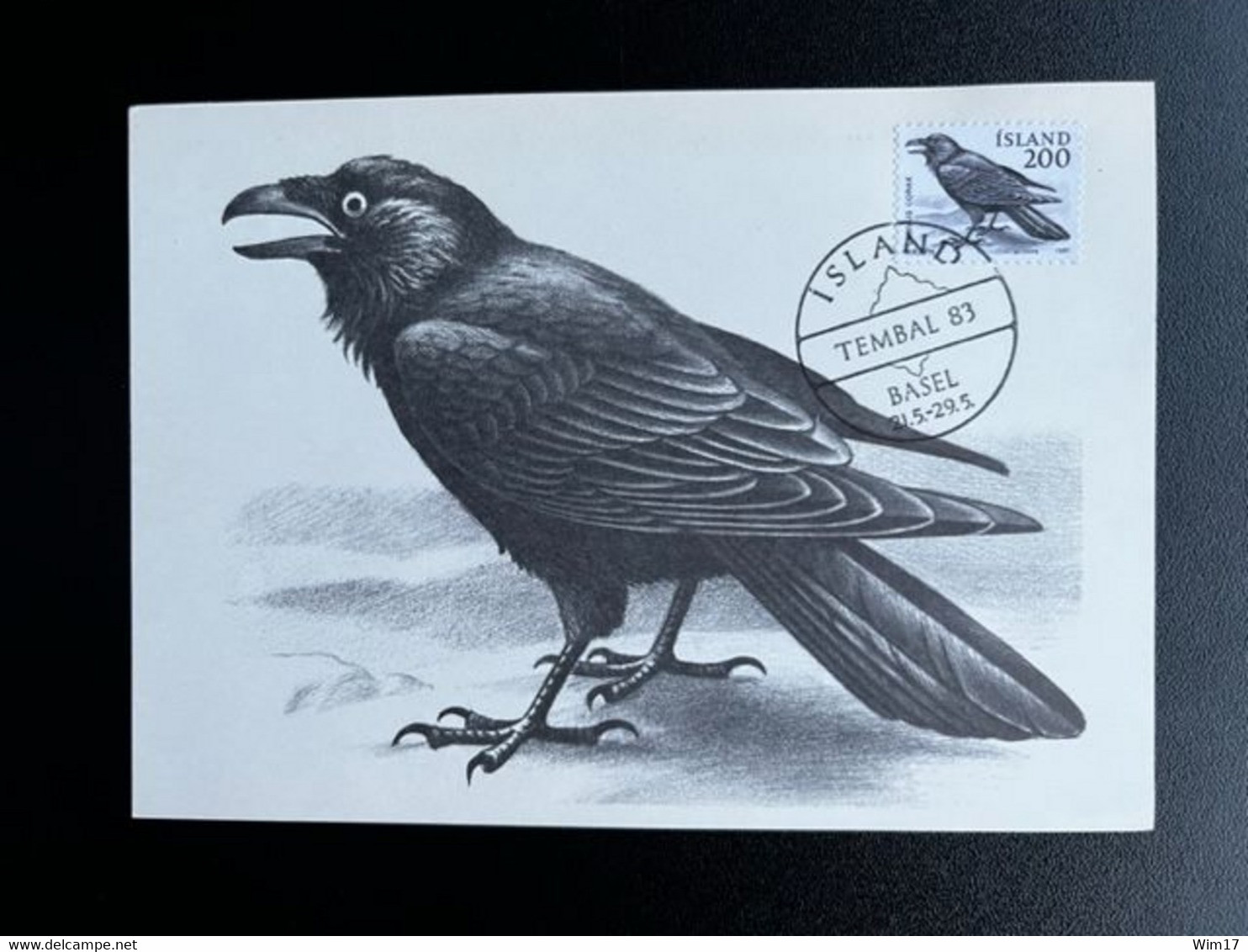 ICELAND ISLAND 1981 MAXIMUM CARD CORVUS CORAX IJSLAND BIRDS - Maximumkaarten