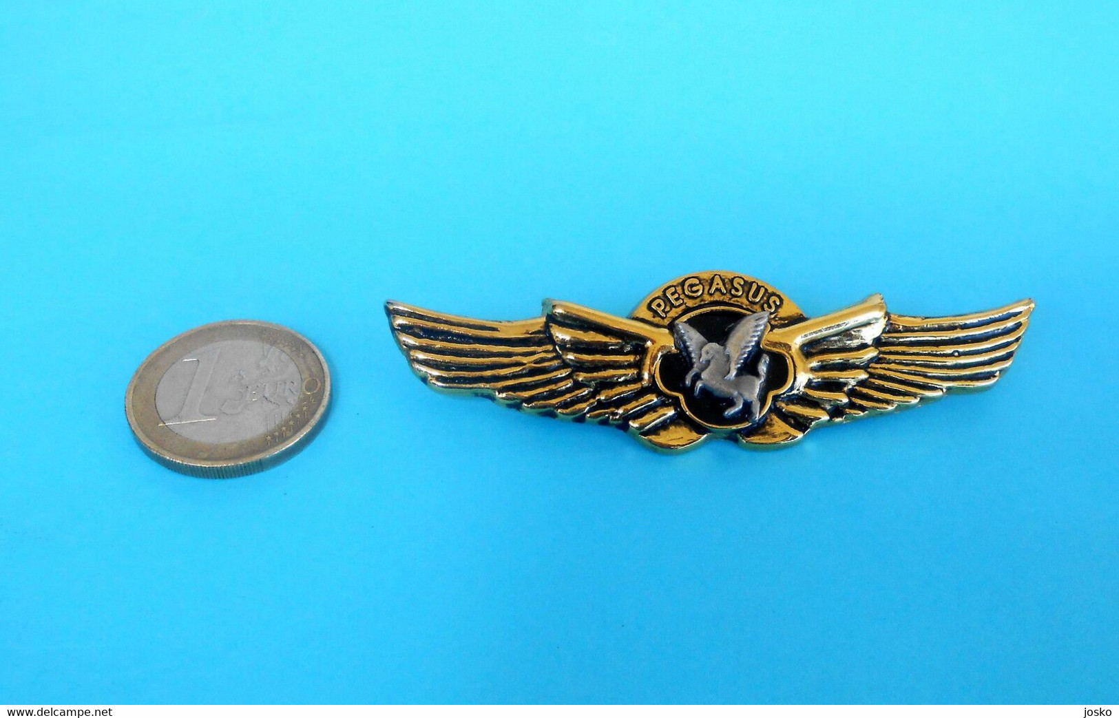 PEGASUS AIRLINES (TurkeyAirline)  -- Old Rare Large Pilot Wings Badge * Airline Airways Plane Avion - Tarjetas De Identificación De La Tripulación