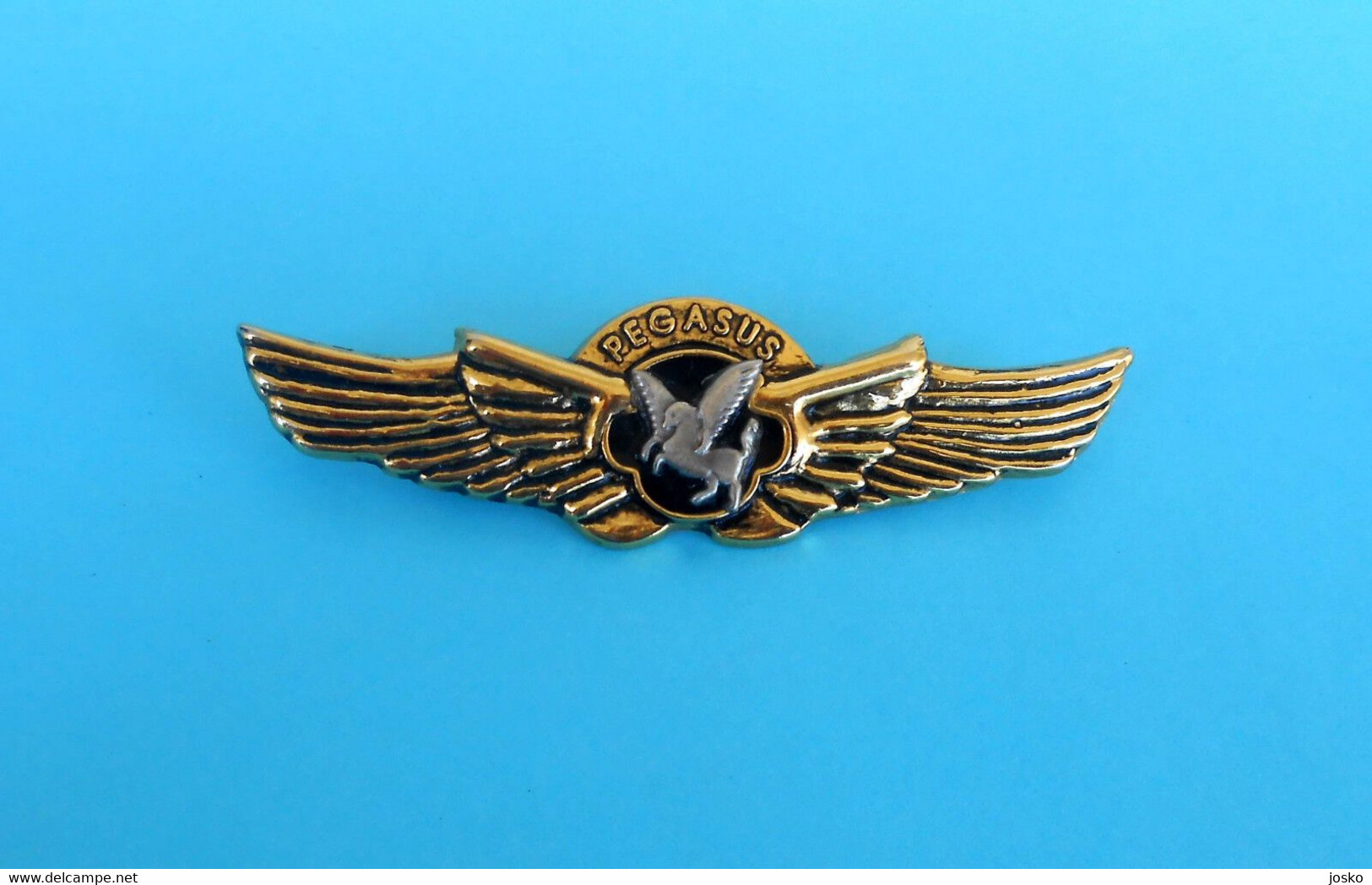 PEGASUS AIRLINES (TurkeyAirline)  -- Old Rare Large Pilot Wings Badge * Airline Airways Plane Avion - Distintivi Equipaggio