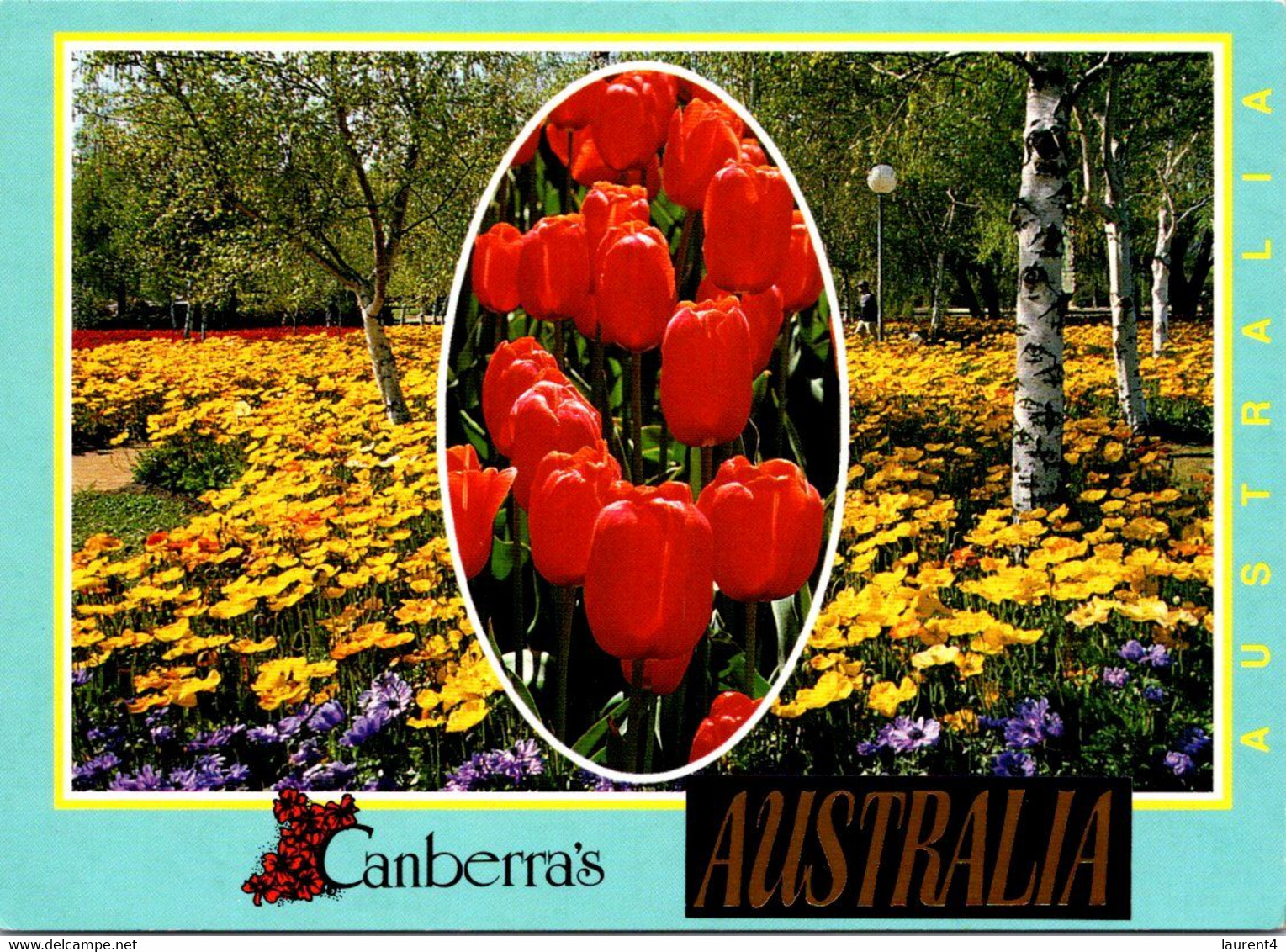 (2 N 17) Australia  - ACT - Canberra Flirade (2 Postcards) - Canberra (ACT)