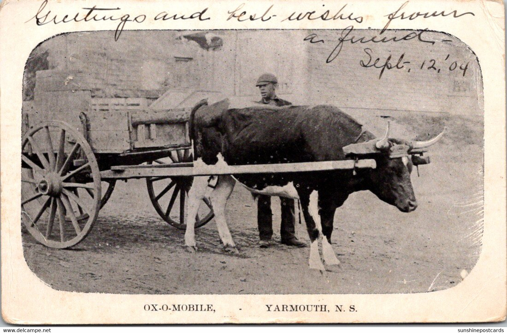 Canada Yarmouth Man And Ox-O-Mobile 1904 - Yarmouth
