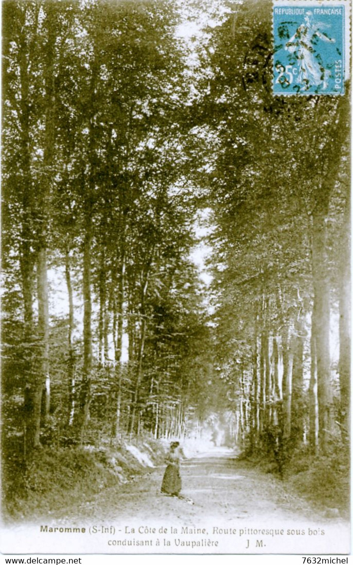 76 - MAROMME - La Côte De La Maine, Route Pittoresque Sous Bois Conduisant à La Vaupalière - Maromme