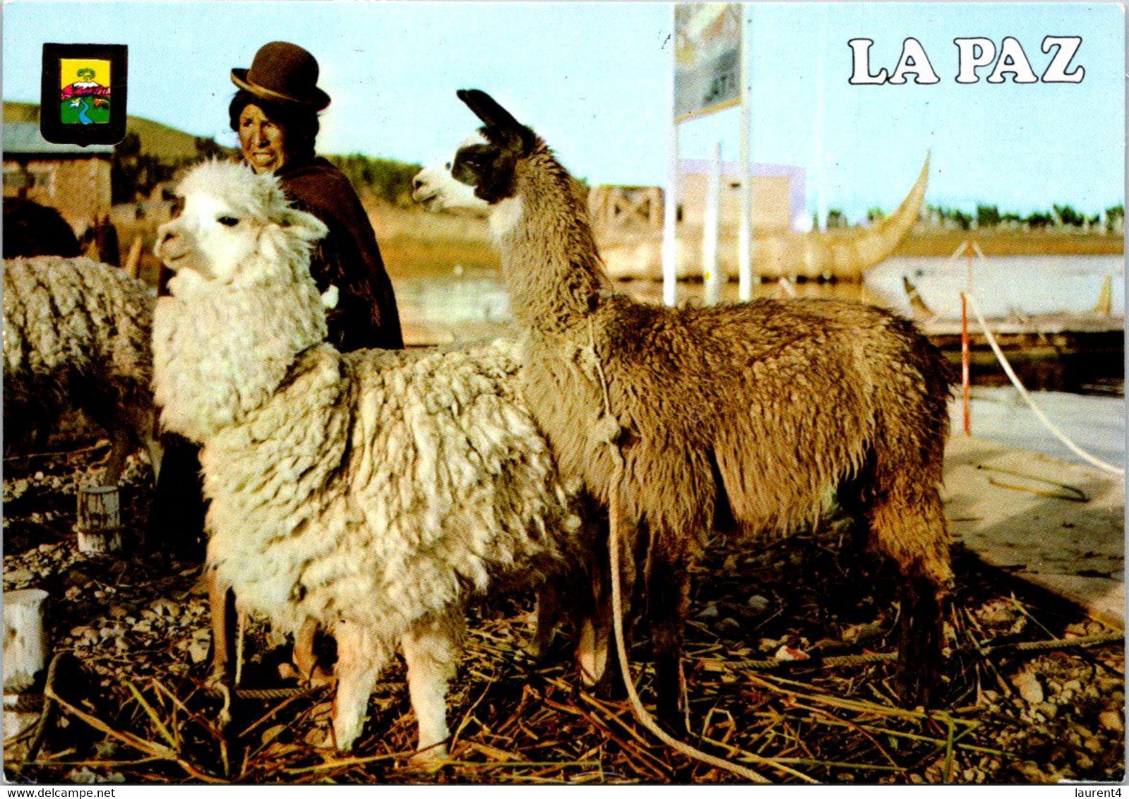 (2 N 20) Bolivia (posted To France) La Paz (Llama & Alpaca) - Bolivie