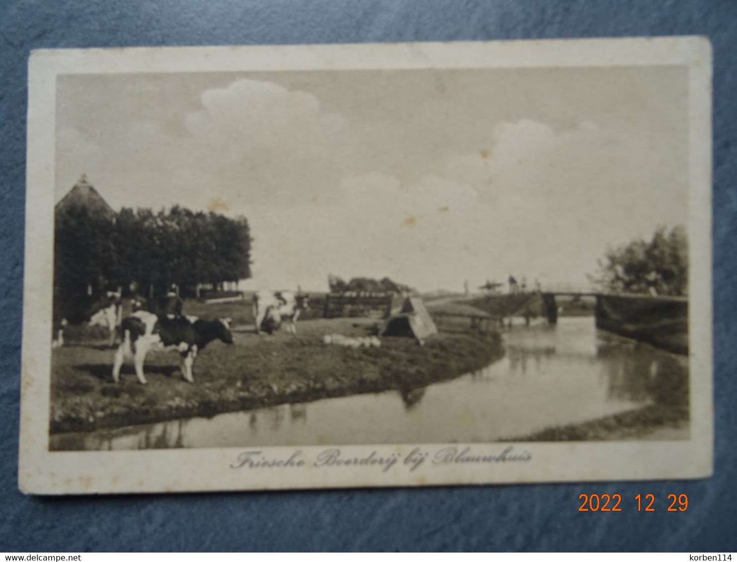 FRIESCHE BOERDERIJ BIJ BLAUWHUIS - Bolsward