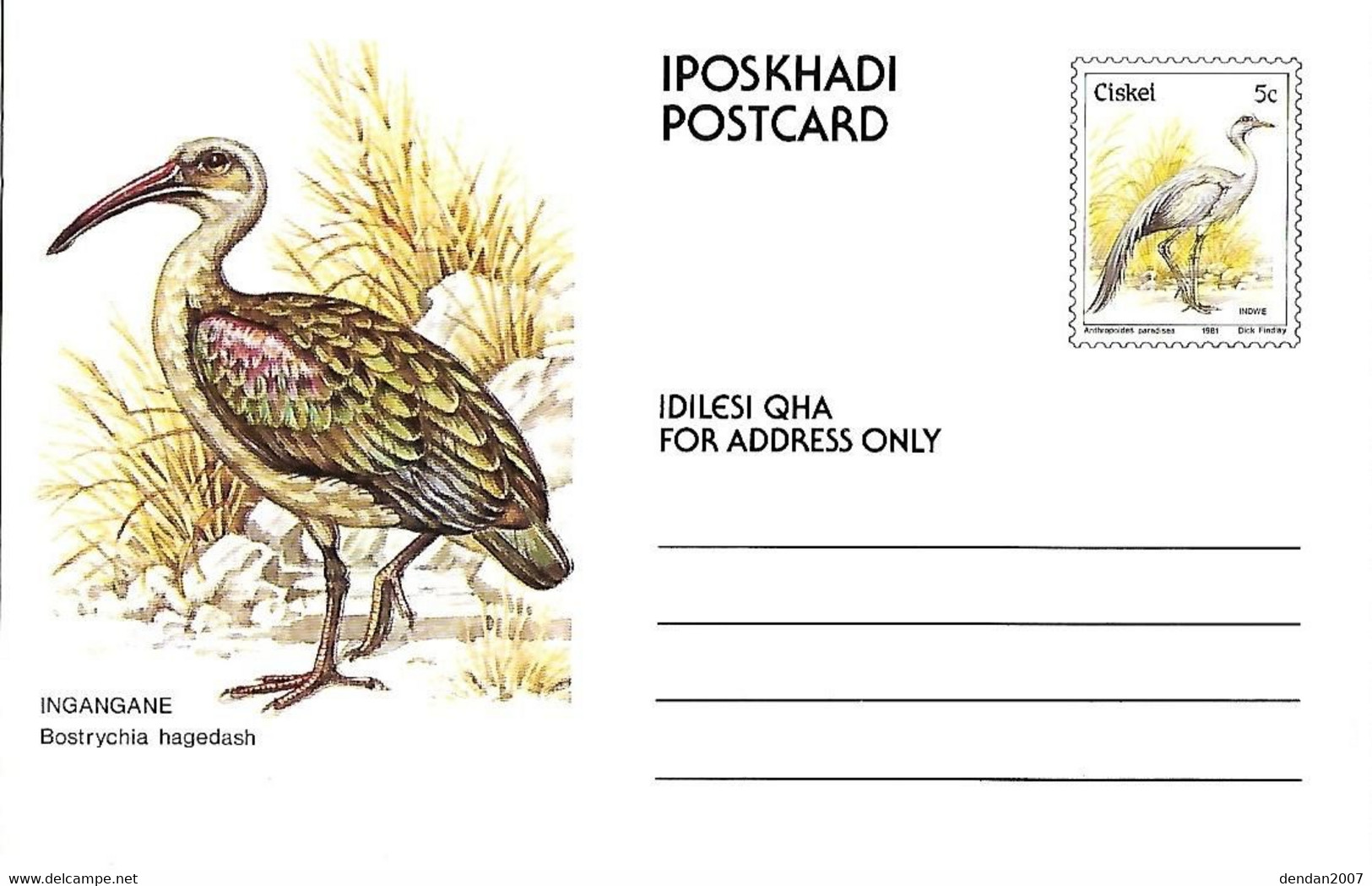 Ciskei - Postal Stationery :  Hadada Ibis - Bostrychia Hagedash - Grues Et Gruiformes