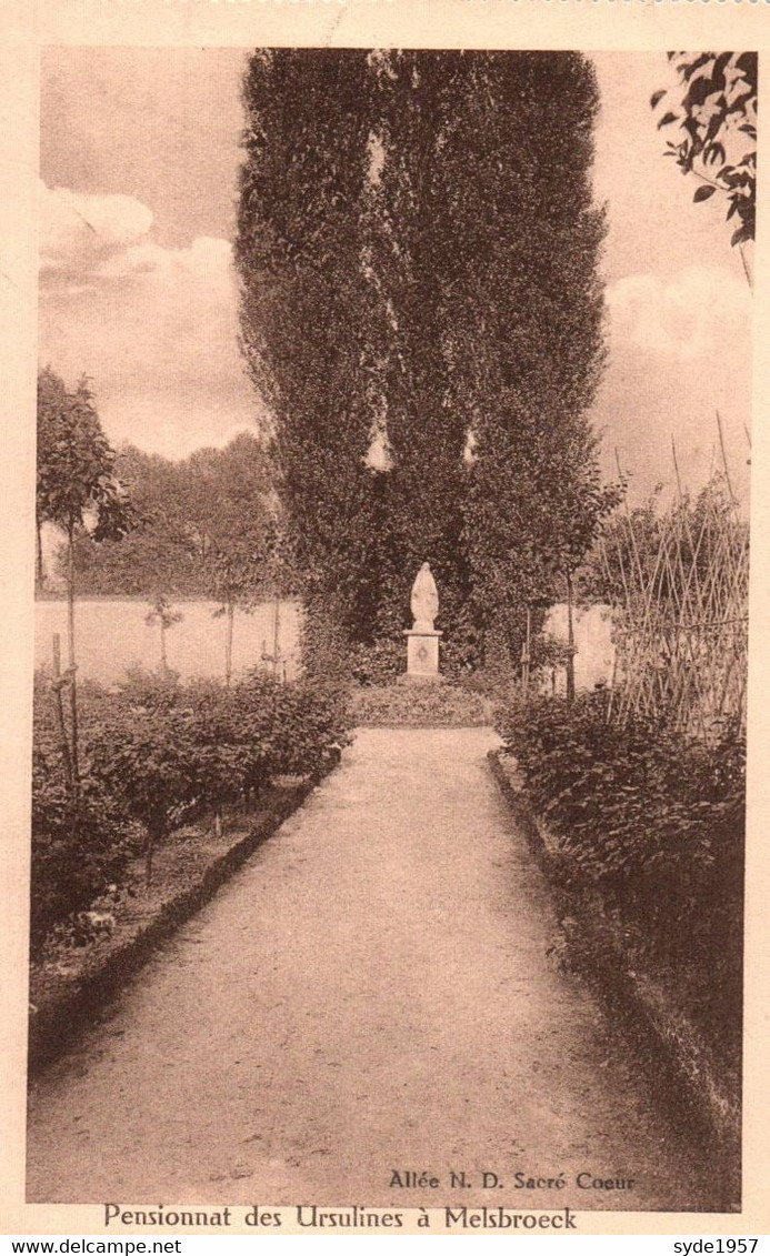 Melsbroeck-pensionnat Des Ursulines - Allée Notre Dame Du Sacré-Coeur - Steenokkerzeel