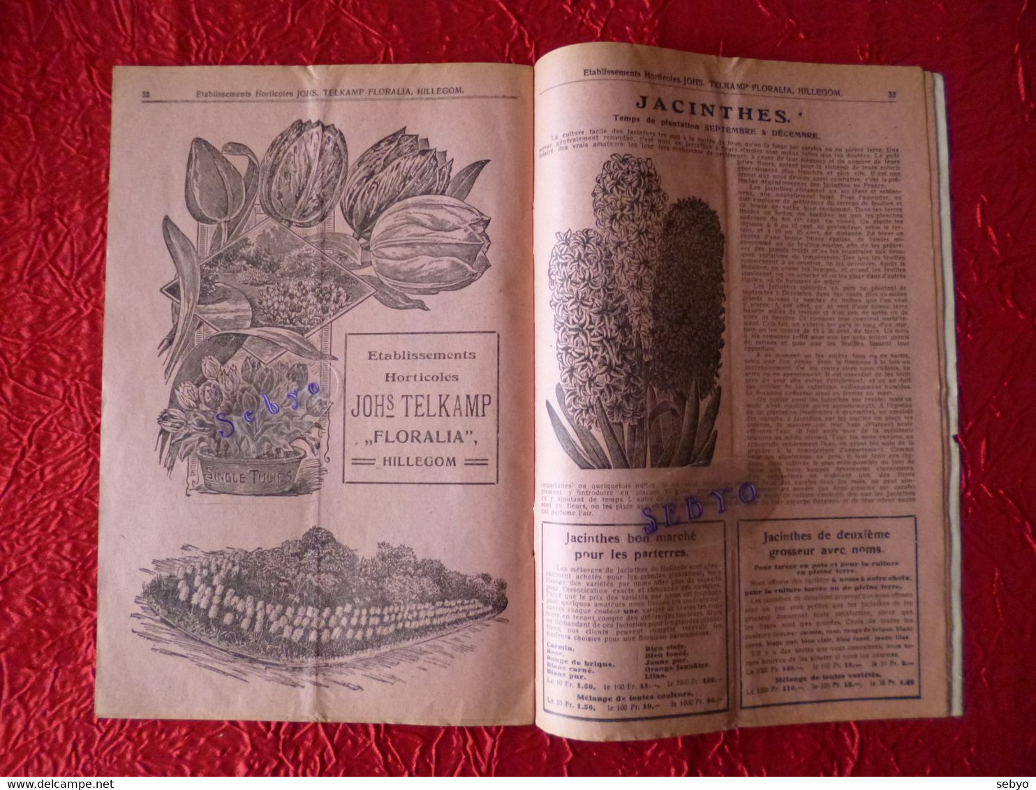 Catalogue De Vente De Fleurs. Johs TELKAMP.  Hillegom. Etablissements Horticoles FLORALIA.  1913-1914 - Pays-Bas