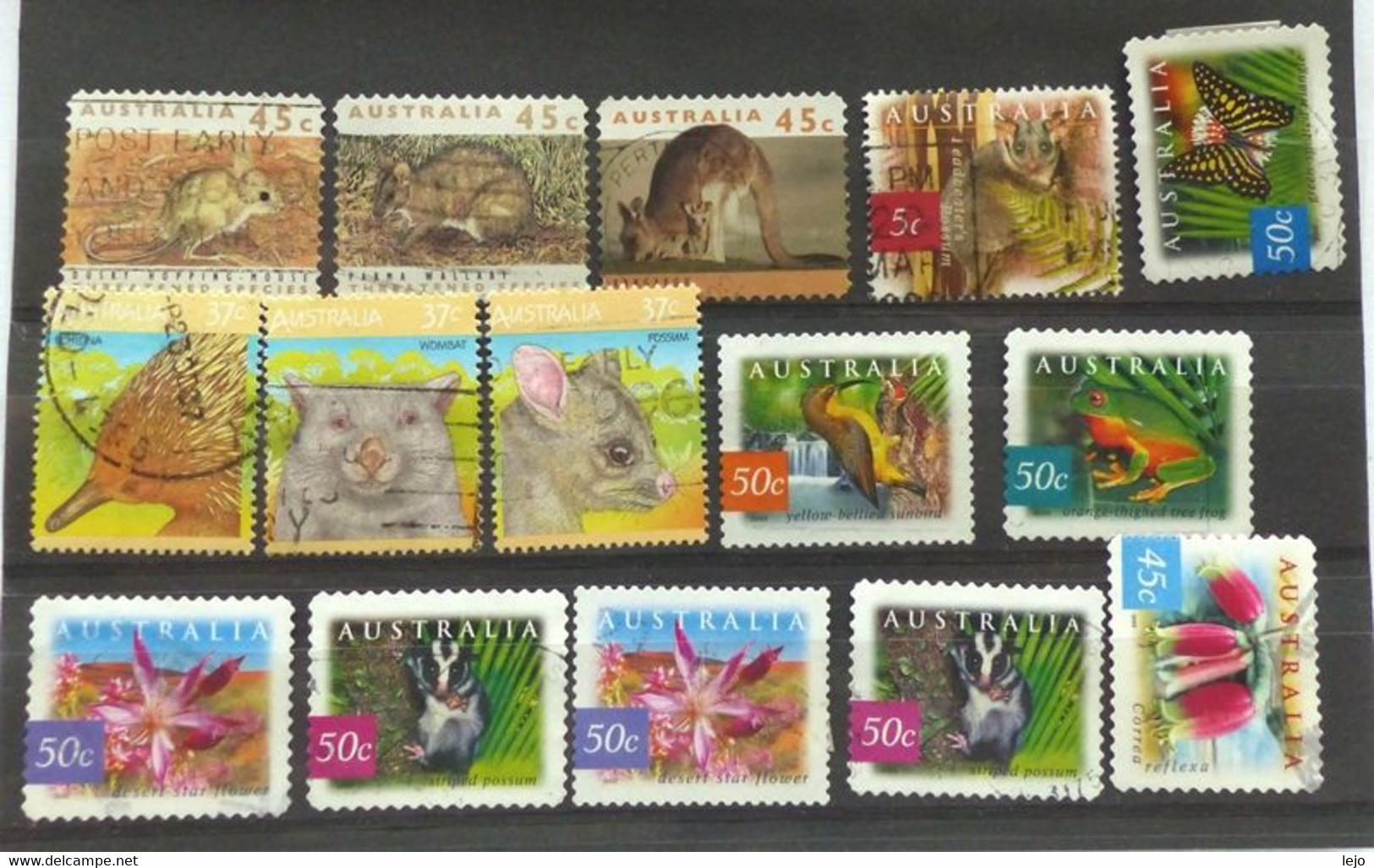 Kleine Verzameling Australië - Collections