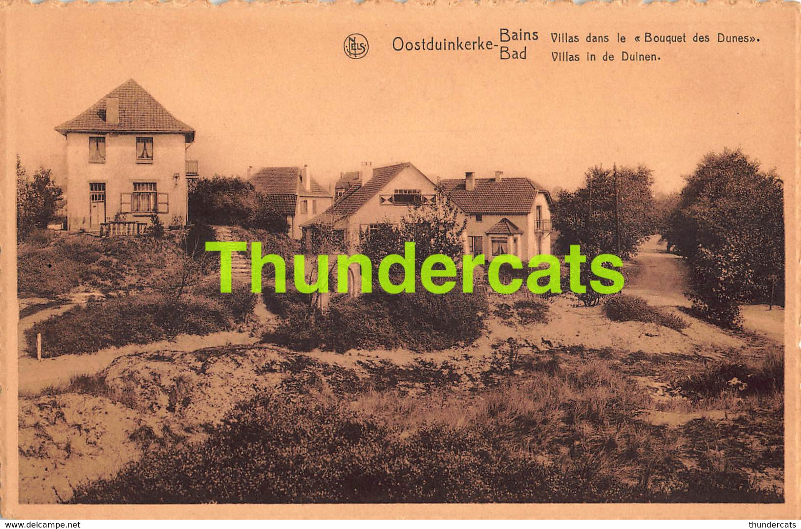 CPA OOSTDUINKERKE VILLAS DANS LE BOUQUET DES DUNES - Oostduinkerke