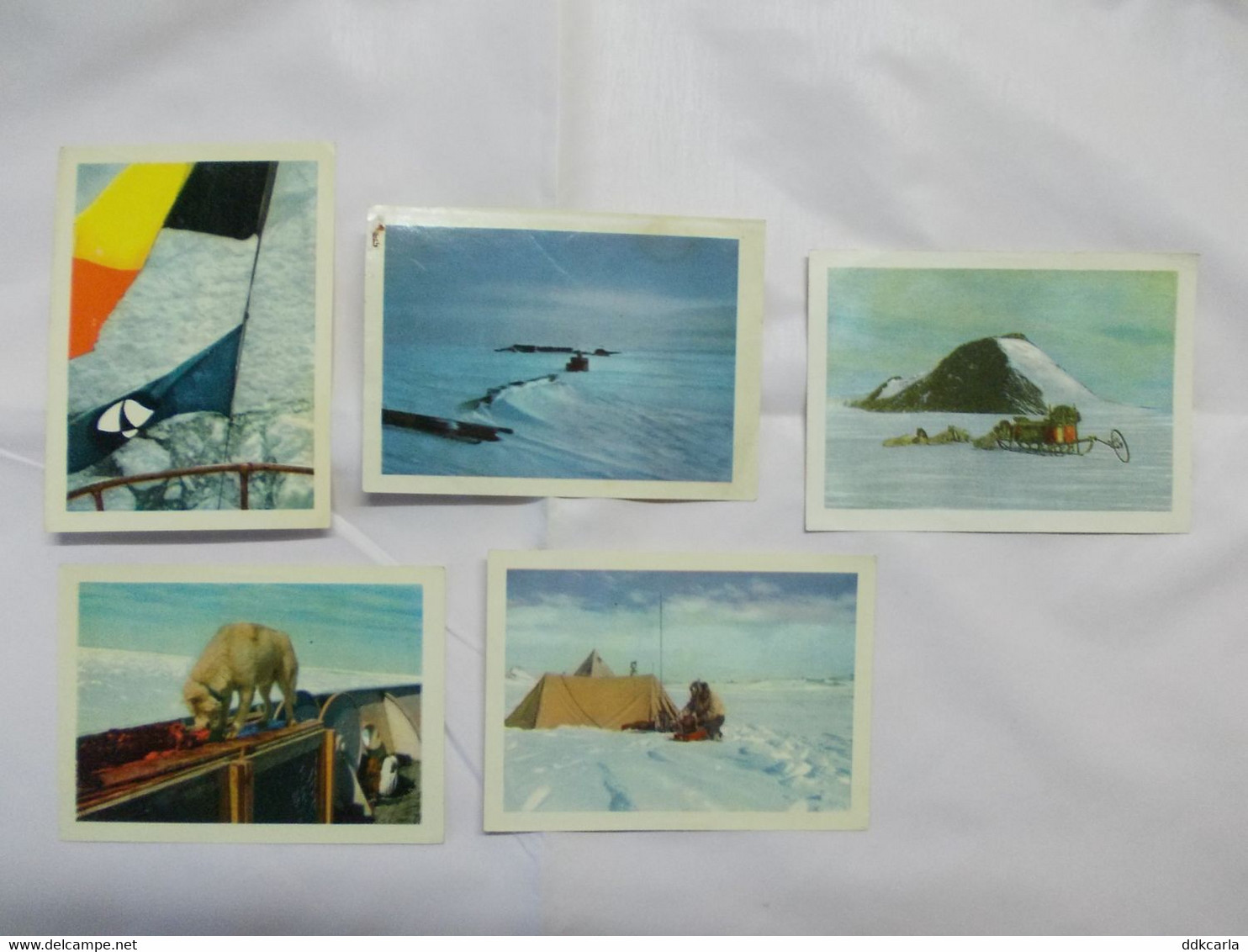 Lot Van 5 Verschillende Chromo's - Côte D'Or - ANTARCTIC - - Otros & Sin Clasificación