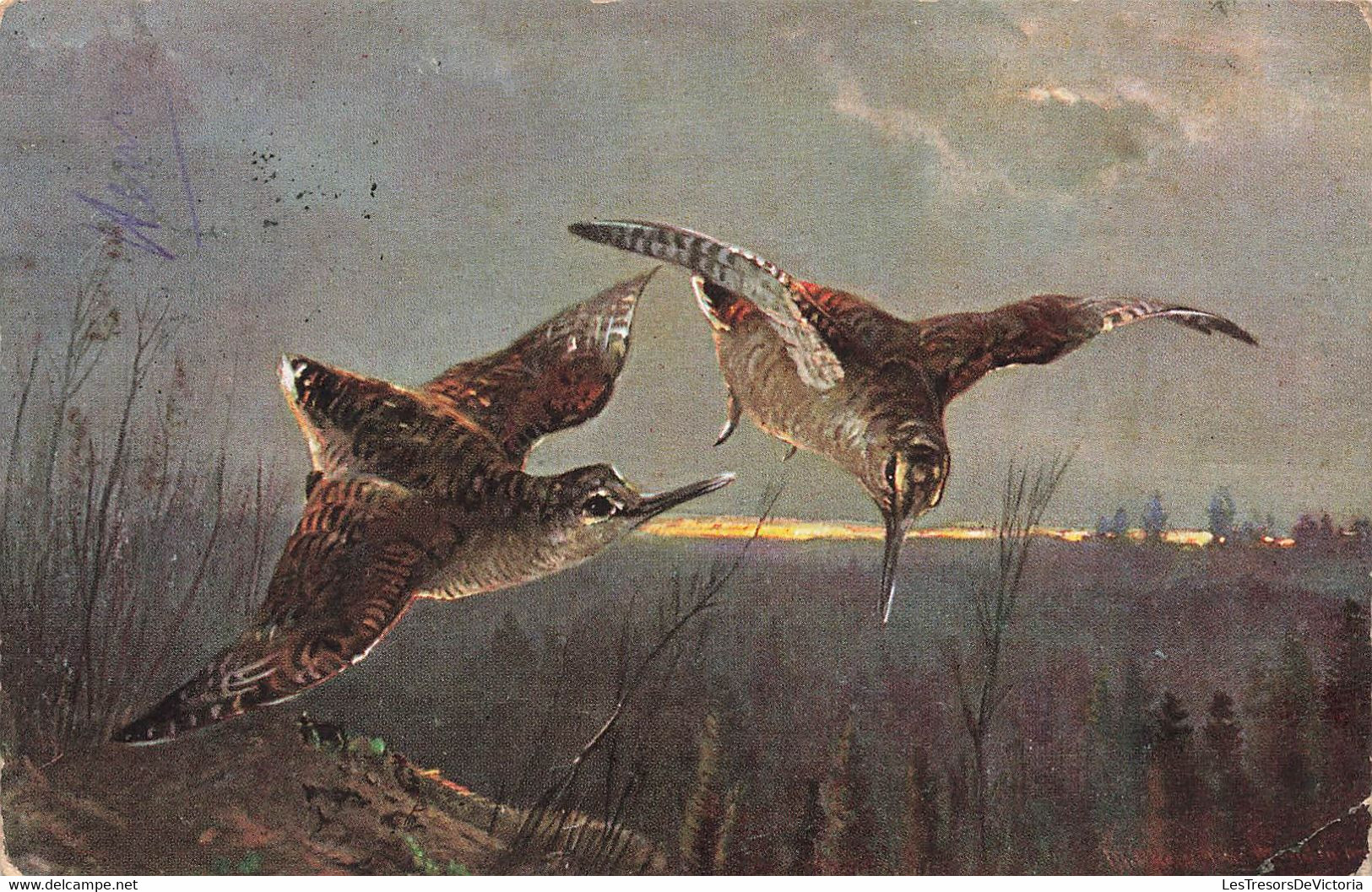 CPA Fantaisie - Oiseaux à Long Bec - Carte Circulée En 1905 - Oiseaux