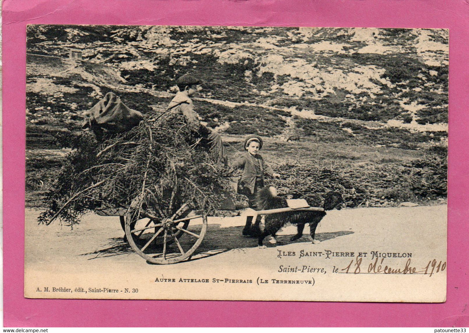 ILES SAINT PIERRE ET MIQUELON VOITURE A CHIEN LE TERRENEUVE AUTRE ATTELAGE ST PIERRAIS CLICHE UNIQUE - Saint-Pierre E Miquelon