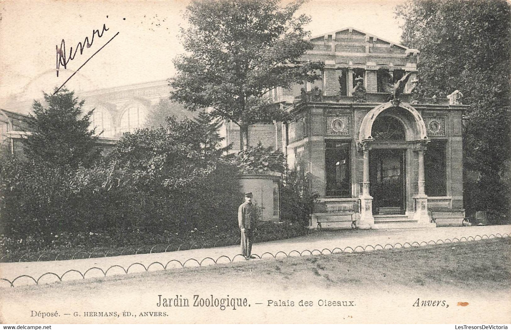 CPA Anvers - Jardin Zoologique - Palais Des Oiseaux - Hermans Edition - Antwerpen