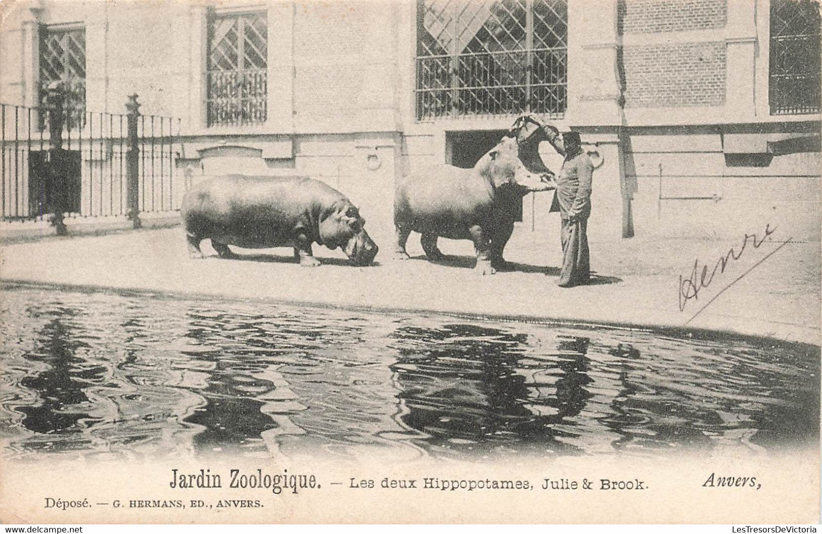 CPA Anvers - Jardin Zoologique - Les Deux Hippopotames - Julie & Brook - Hermans Edition - Antwerpen