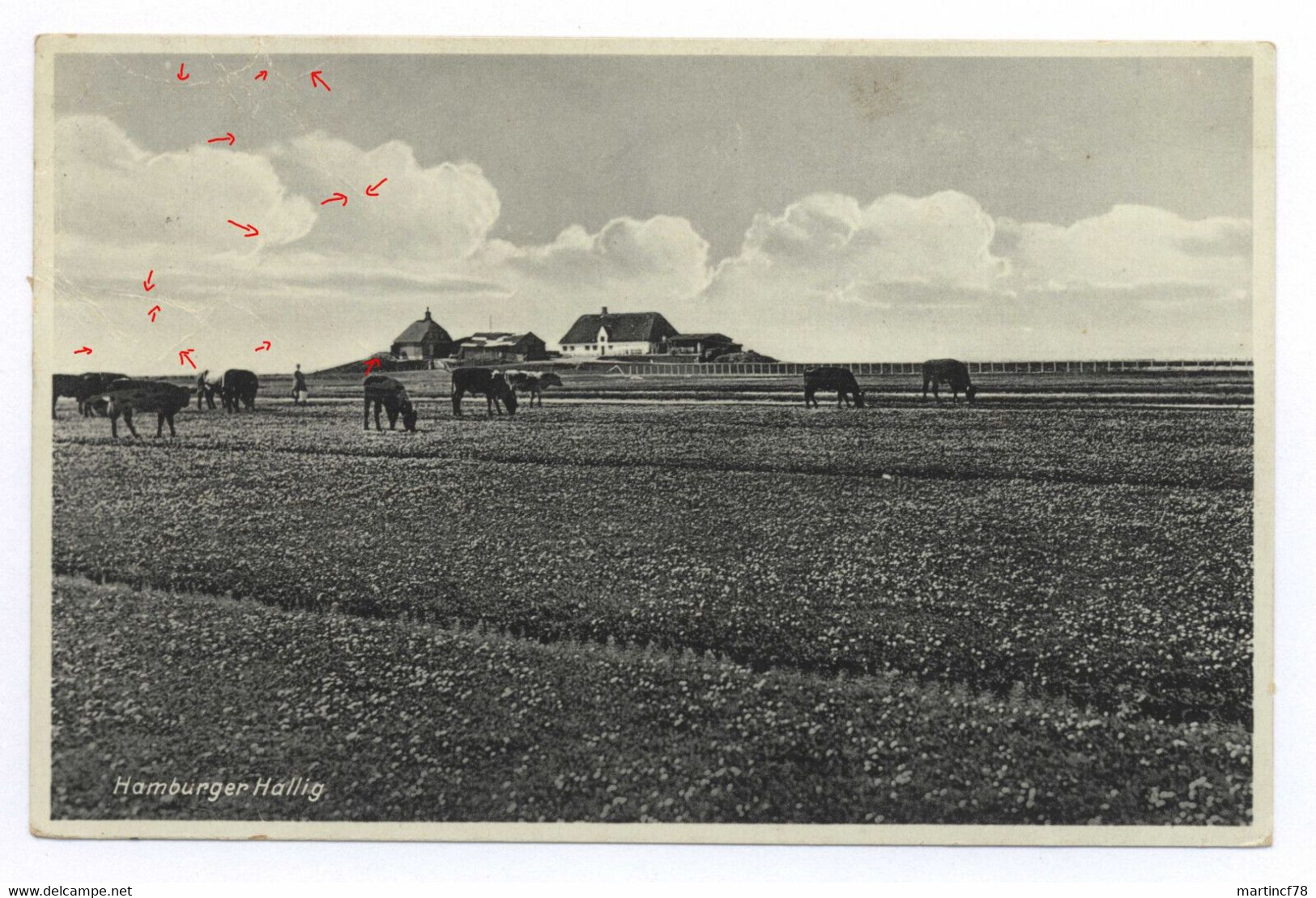 22xx Hamburger Hallig Nordfriesland Stemp Wester Bordelum über Bredstedt Schleswig - Nordfriesland