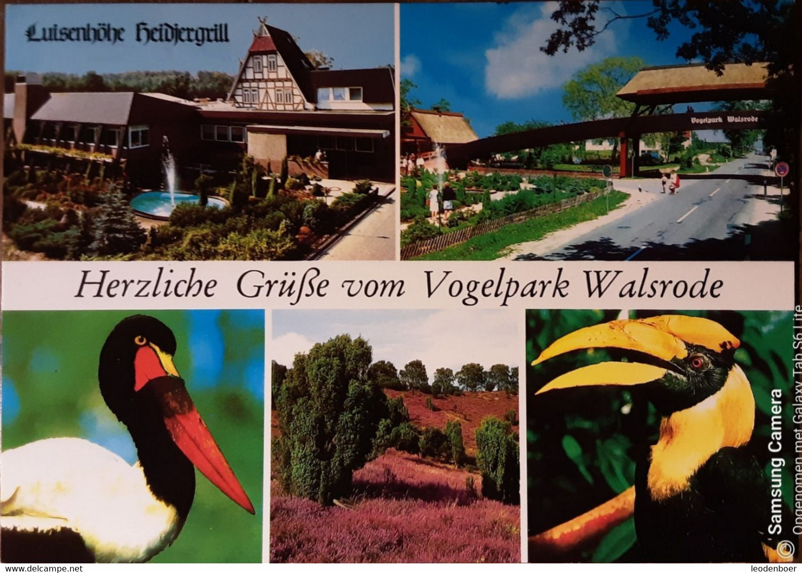 Walsrode - Vogelpark - Walsrode