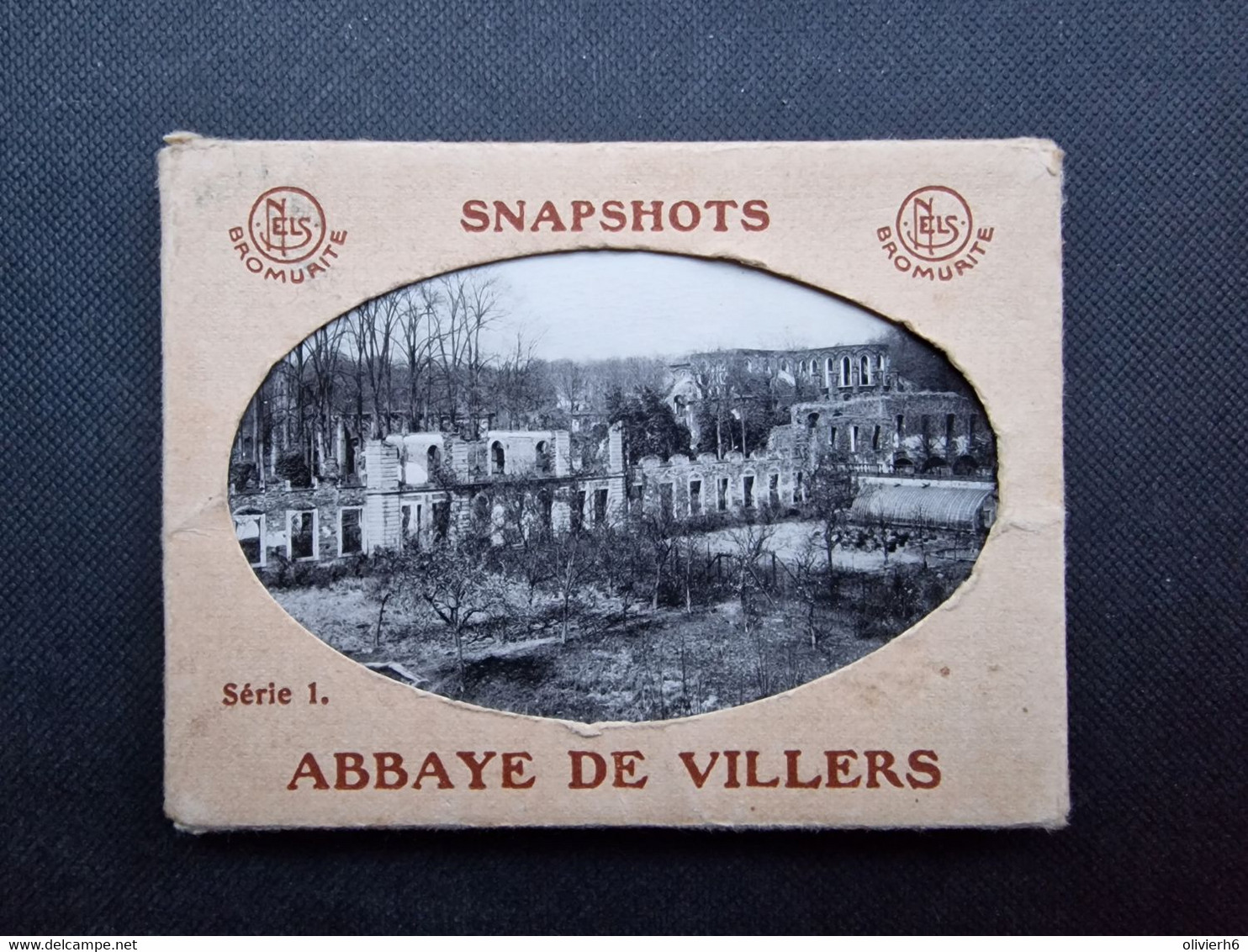 LOT 12 SNAPSHOTS BELGIQUE (V1503) VILLERS-LA-VILLE (2 Vues) Serie 1 Abbaye De Villers - Villers-la-Ville