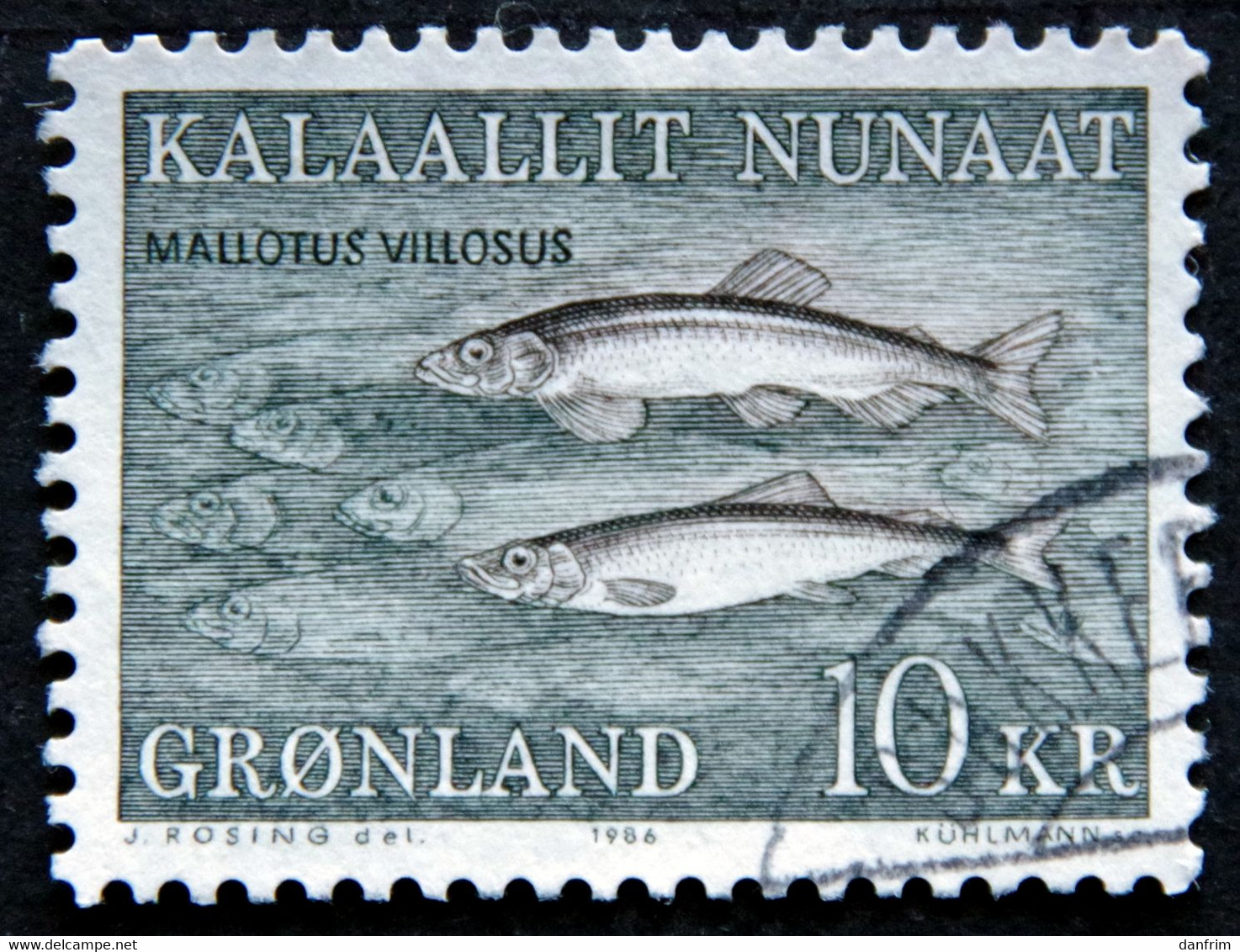 Greenland 1986  FISH   MiNr.168   ( Lot E 2651) - Gebruikt