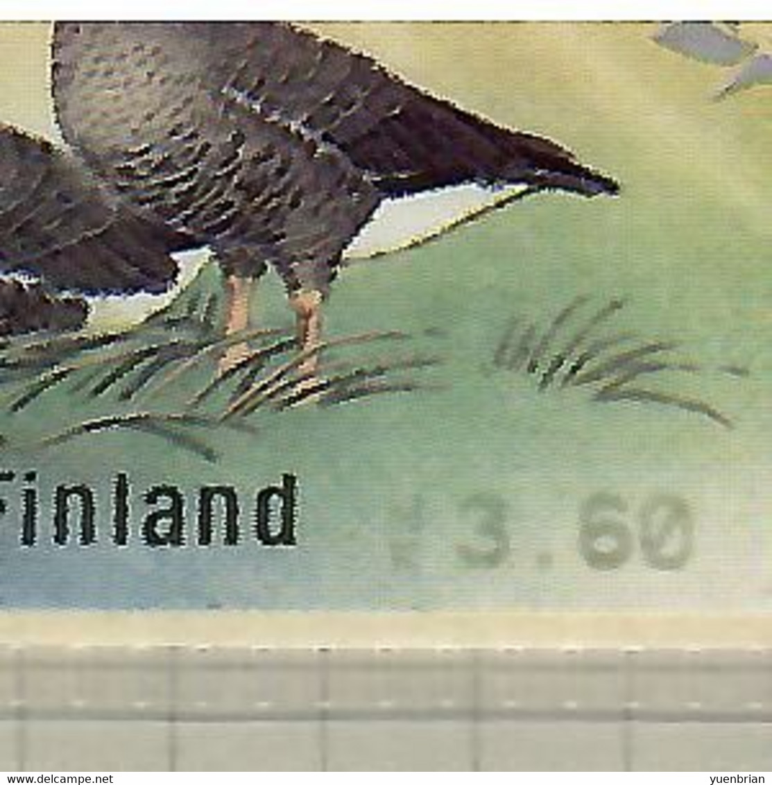 Finland 2001, Bird, Birds, Geese, ATM, 1v With Receipt, MK3.60, MNH** - Oies