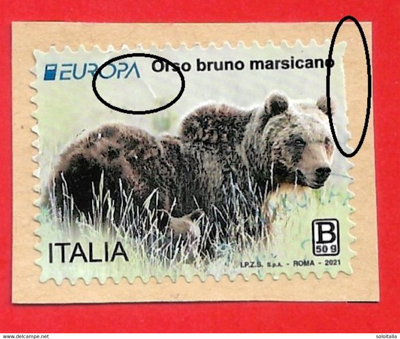 2021 Europa: Orso Bruno: Leggi Bene! - 2021-...: Used