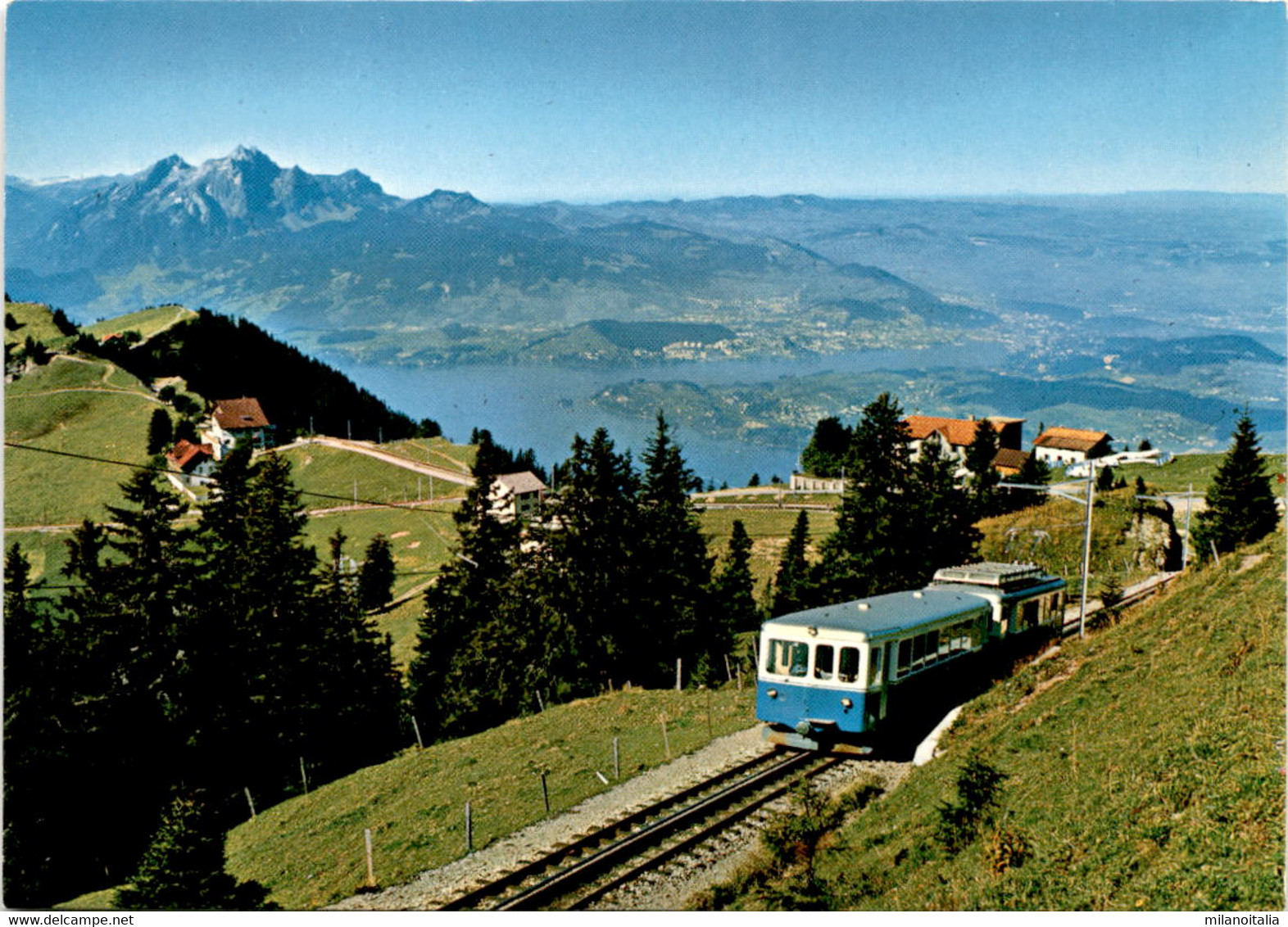 Arth-Rigi-Bahn Oberhalb Rigi-Staffel (102) - Arth