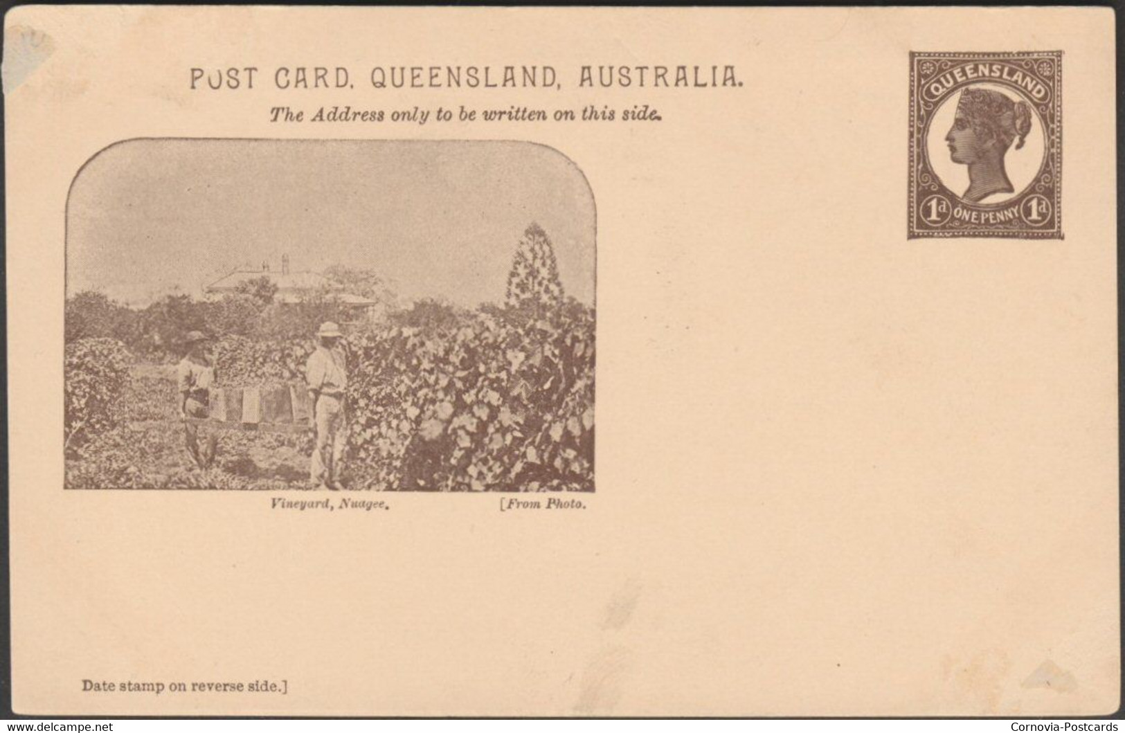 Vineyard, Nudgee, Brisbane, Queensland, C.1890s - Postal Stationery Postcard - Brisbane