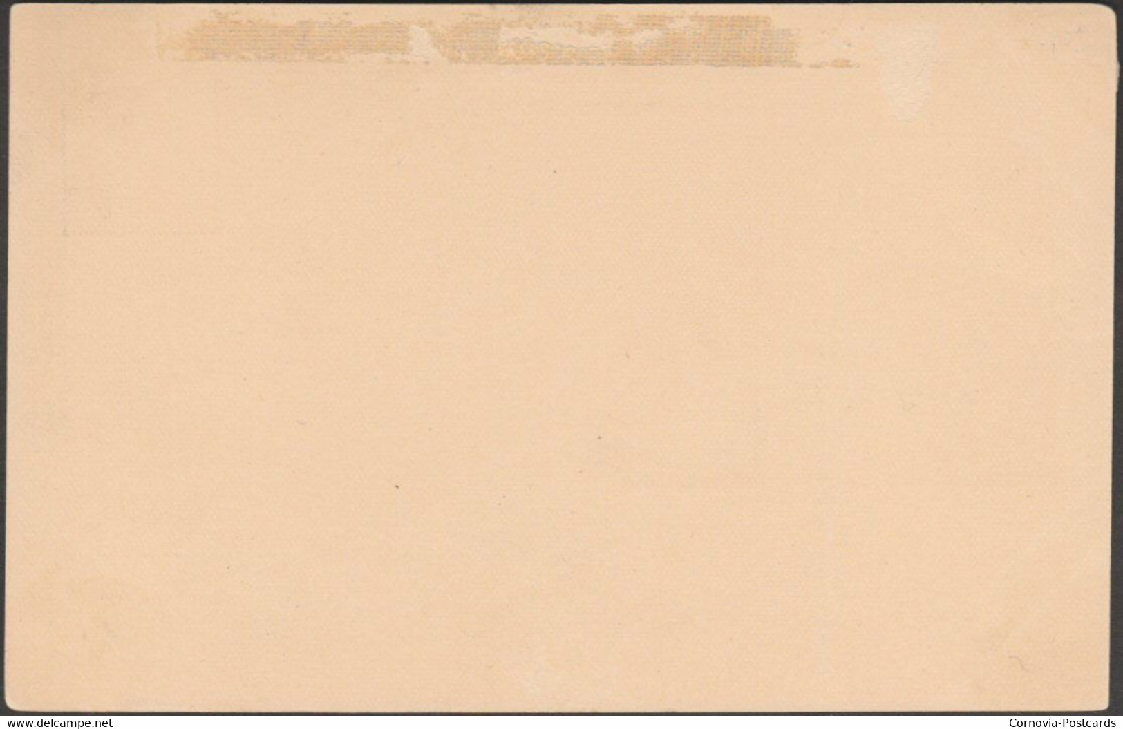Vineyard, Nudgee, Brisbane, Queensland, C.1890s - Postal Stationery Postcard - Brisbane