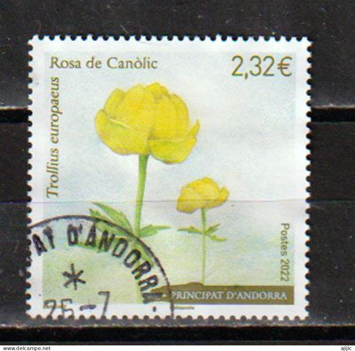 ROSE DE CANOLIC. Globeflower (Flor De San Pallari) 2022.Timbre Oblitéré 1 ère Qualité.Haute Faciale - Usados