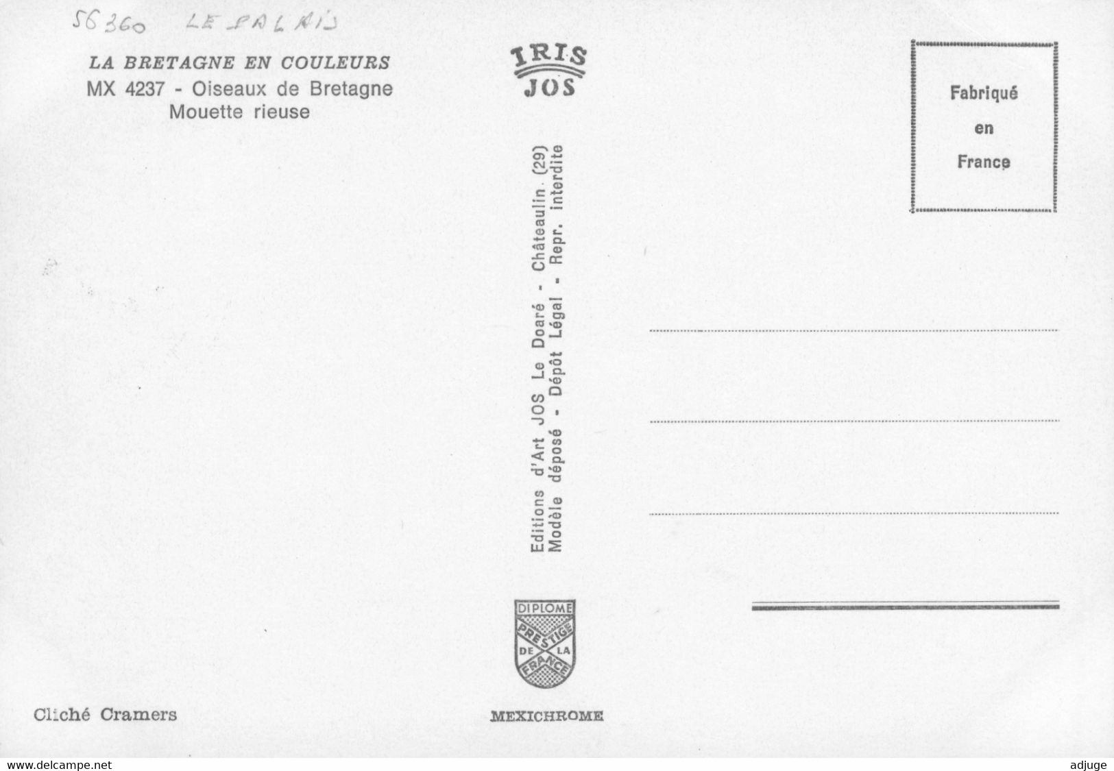 CP-56-Le PALAIS - Mouette Rieuse- Oblitération Philatélique Le Palais -  1974 **2 Scan** - Palais