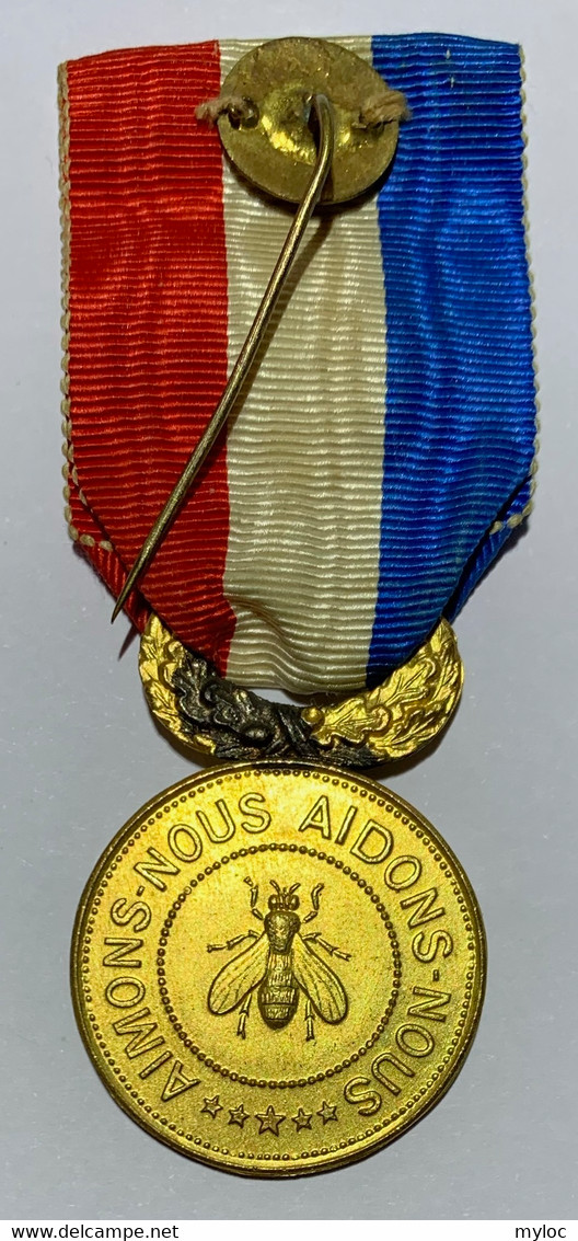 Militaria. Médaille D'une Société De Secours Mutuelles D'anciens Militaires. Meze. 1863 - Avant 1871