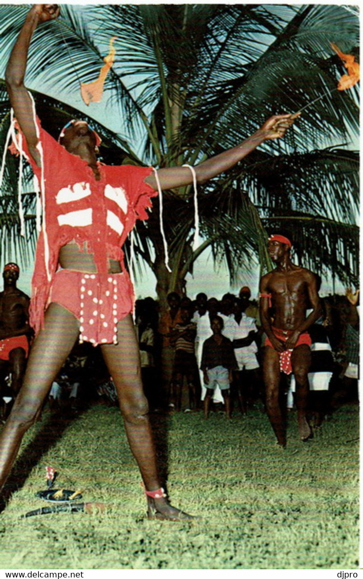 Gambia  Fire Eater  104 - Gambie