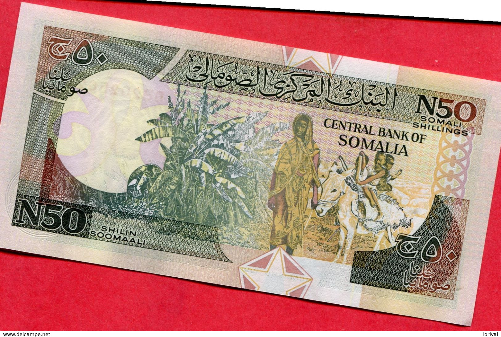 Somalie 50 Shilin  Neuf 3 Euros - Somalie