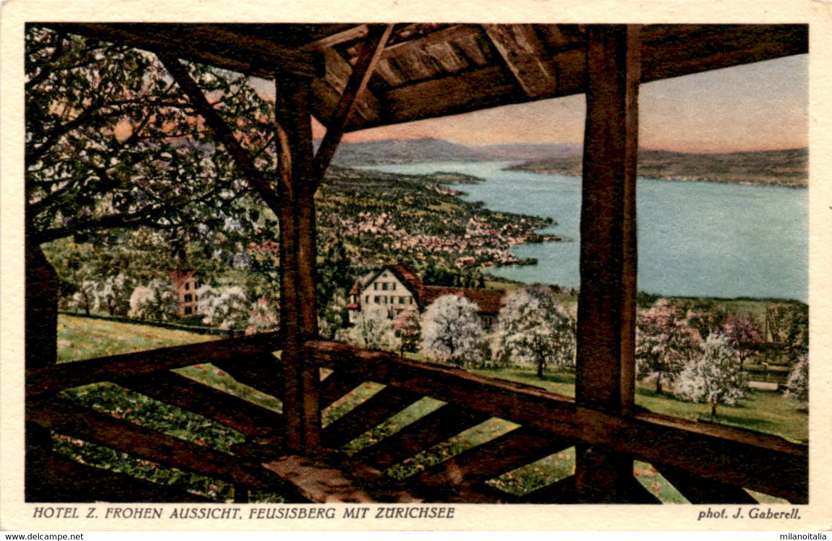 Hotel Z. Frohen Aussicht, Feusisberg Mit Zürichsee (7431a) - Feusisberg