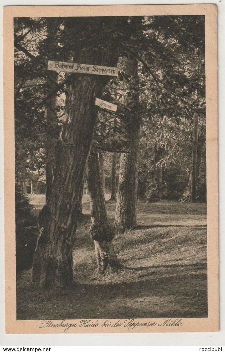 Lüneburger Heide, Niedersachsen - Lüneburger Heide