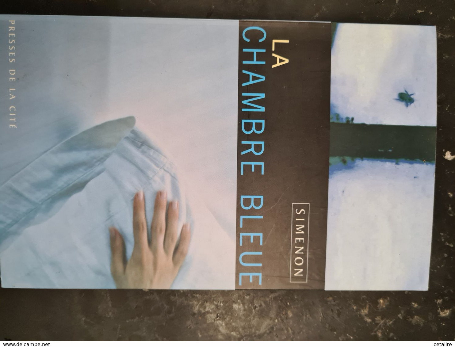 La Chambre Bleue Simenon +++ COMME NEUF+++ LIVRAISON GRATUITE+++ - Belgische Autoren