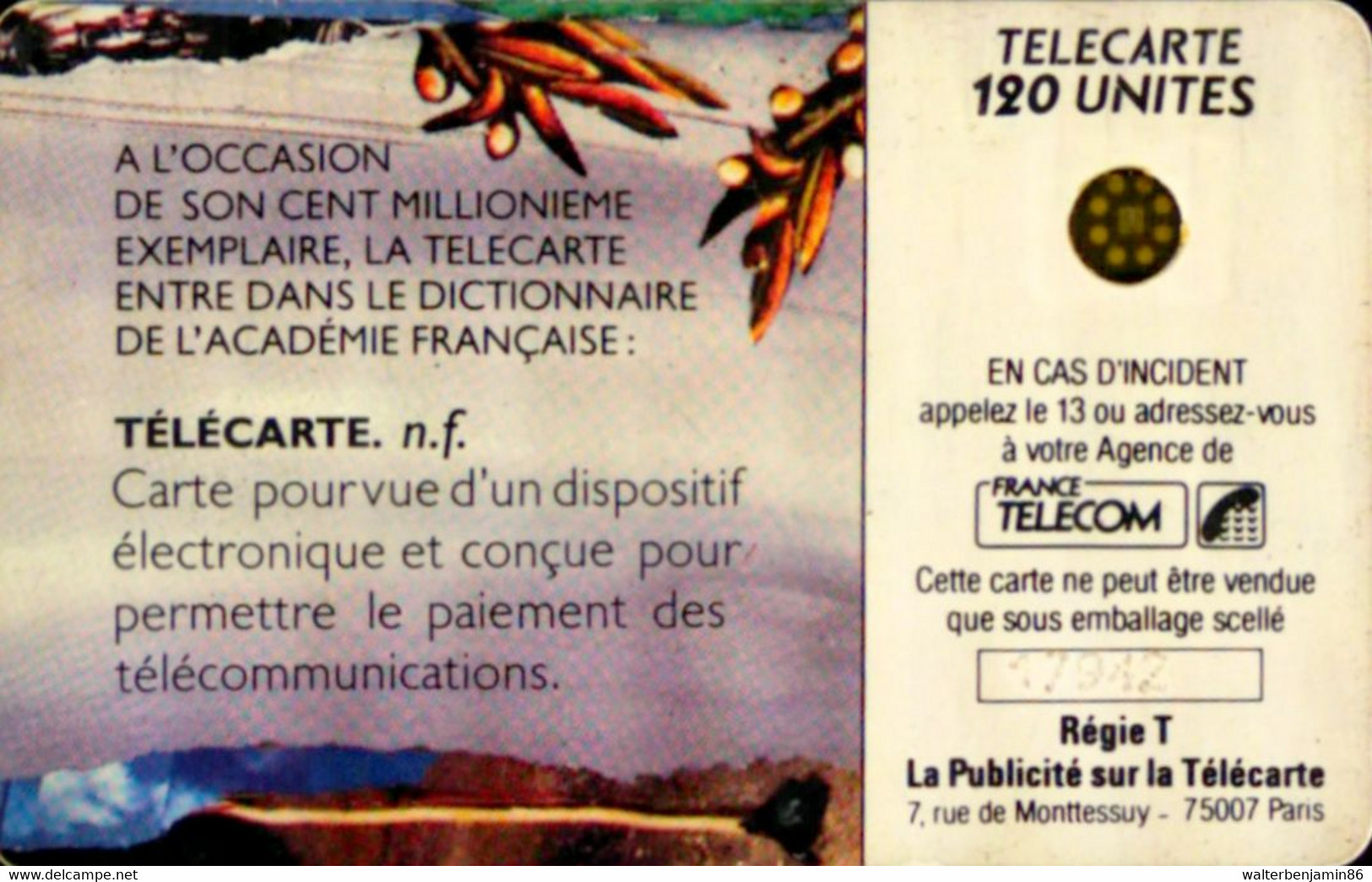 SCHEDA TELEFONICA PHONECARD FRANCE 1990 116 ACADEMIE FRANCAISE 17942 - 1990