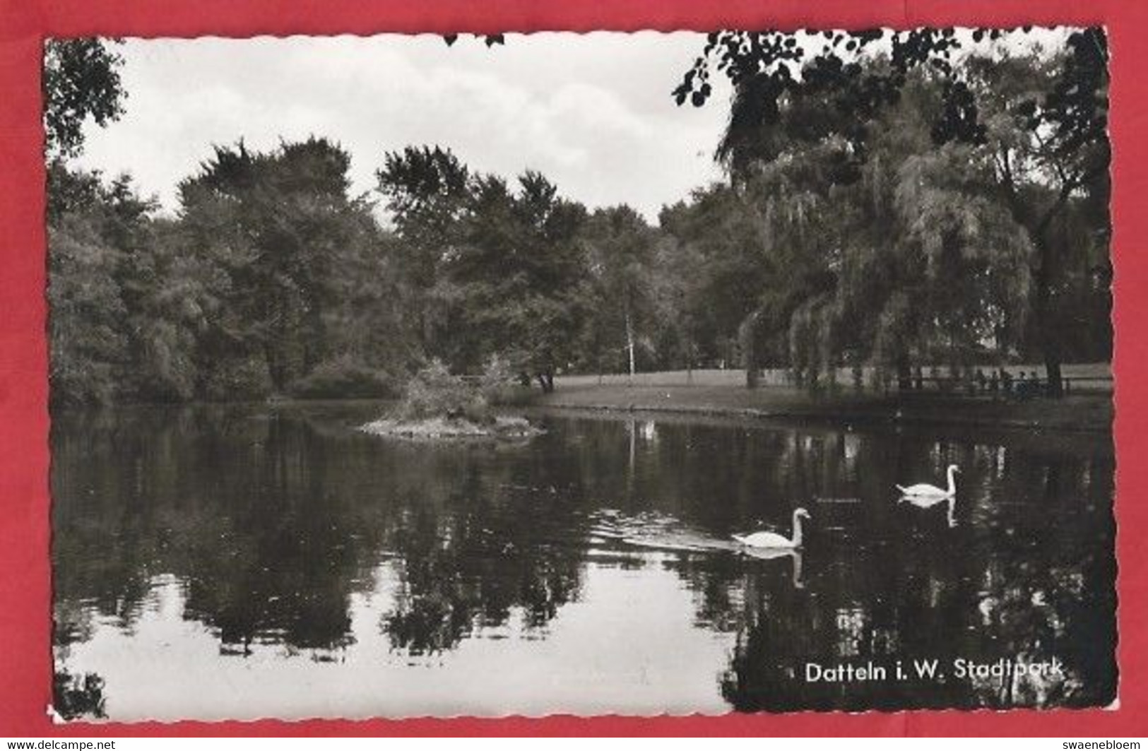 DE.- DUITSLAND. DATTELN I. W. STADTPARK. 1961. ZWANEN. - Datteln