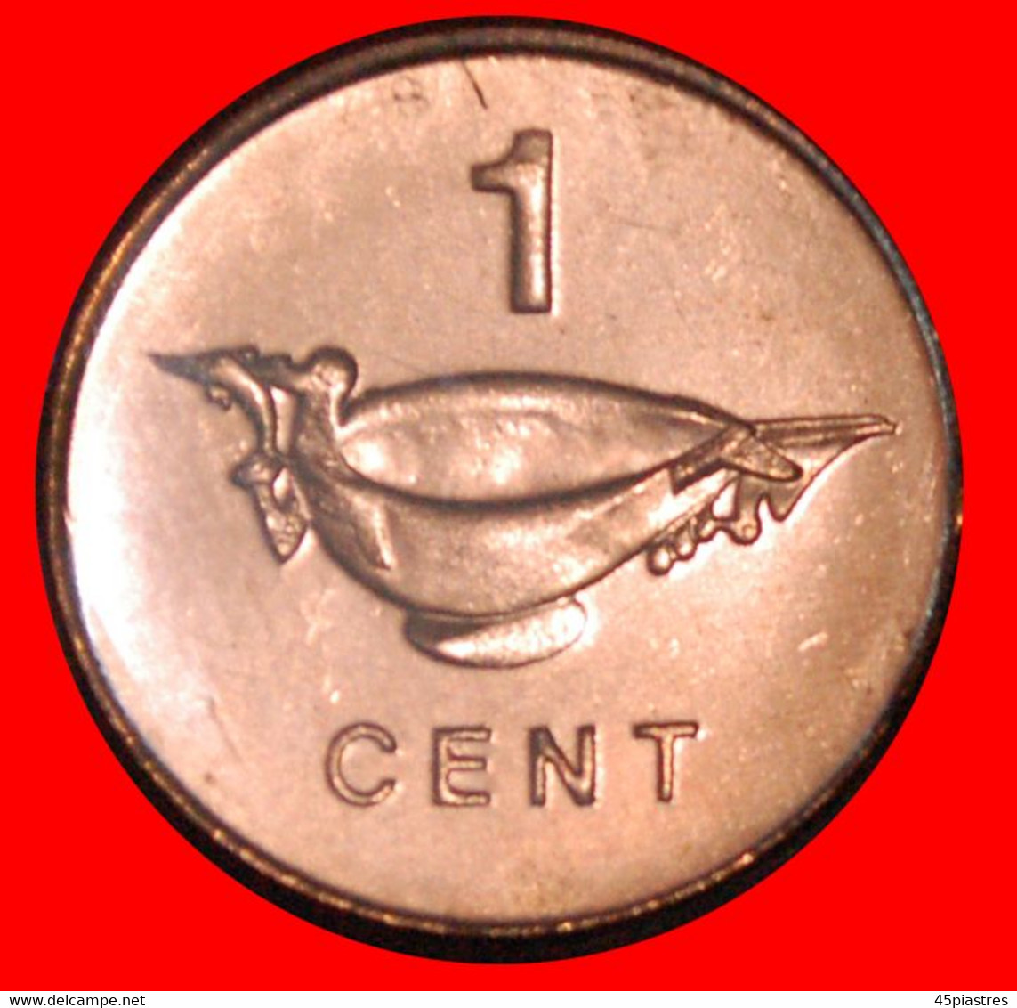 * MAGNETIC (1987-2010): SOLOMON ISLANDS ★ 1 CENT 2005 UNC MINT LUSTRE! LOW START ★ NO RESERVE! - Salomon