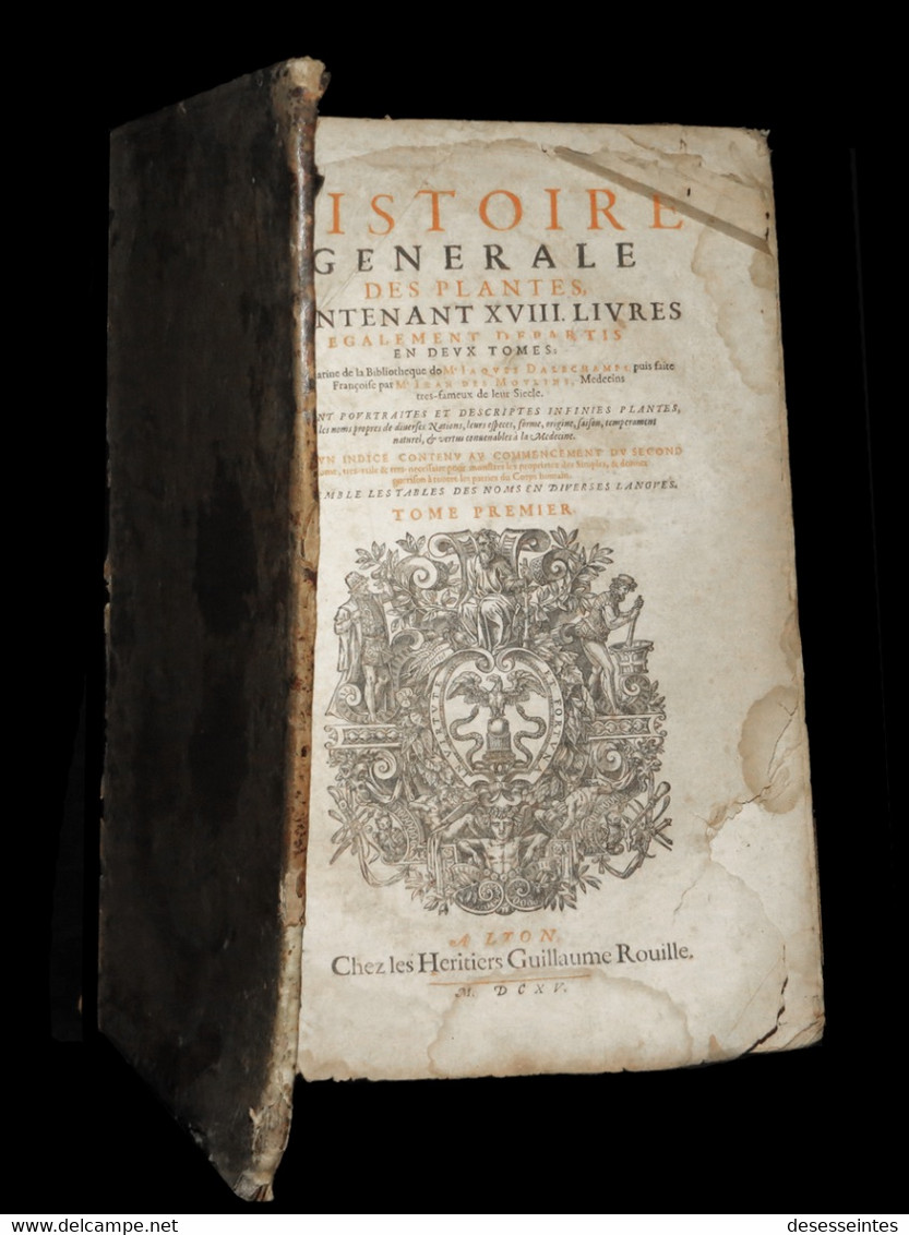 [MEDECINE PHYTOTHERAPIE GASTRONOMIE BOTANIQUE] DALECHAMPS (Jacques) - Histoire Générale Des Plantes. 1615. - Tot De 18de Eeuw