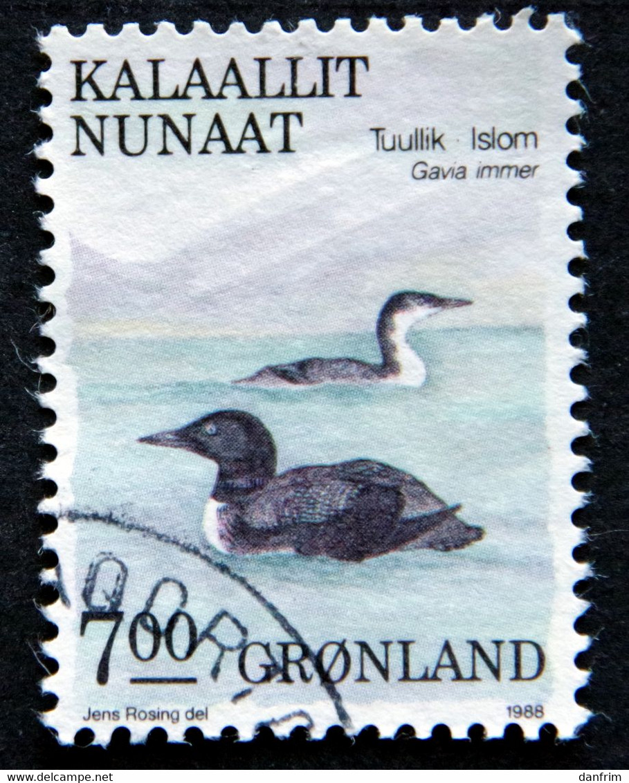 Greenland   1988 Birds  MiNr.184  ( Lot H 711) - Used Stamps