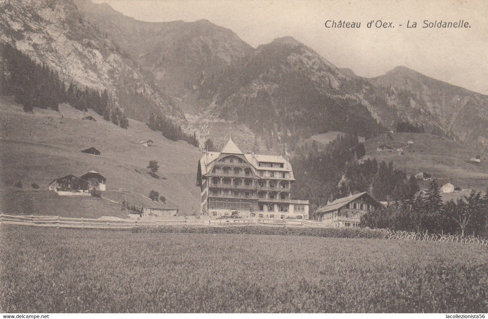 11939-CHATEAU D'OEX(CANTON VAUD)-LA SOLDANELLE-1907-FP - Château-d'Œx