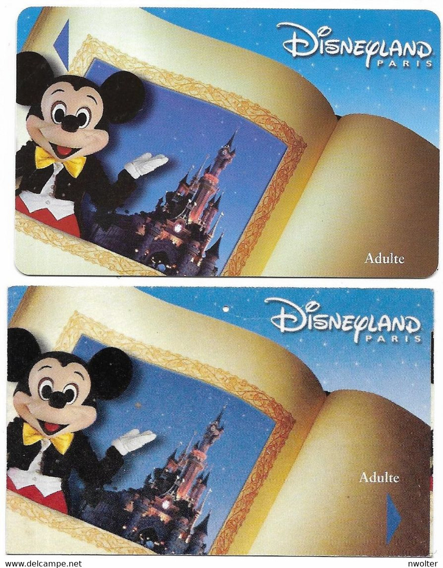 @+ Passeport Disneyland Paris : Lot De 2 Cartes Mickey - Plastic Et Papier (France) - Disney-Pässe