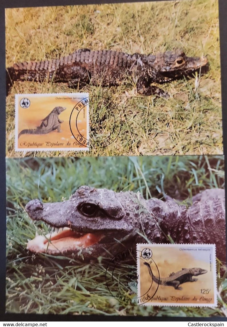 O) 1987  REPUBLIC OF CONGO,  WWF, CROCODILES, WORLD WILDLIFE FUND, OSTEOLAEMUS, CATAPHRACTUS, TETRASPIS,  MAXIMUM CARD - Sonstige & Ohne Zuordnung