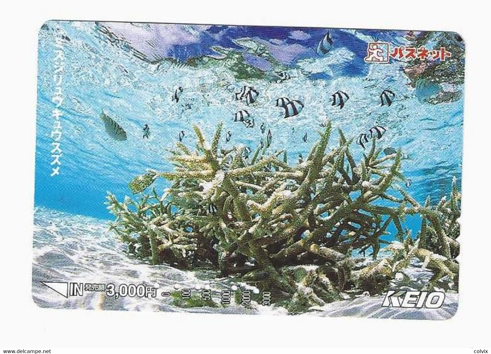 JAPON FOND MARIN CORAIL Carte De Transport - Fische