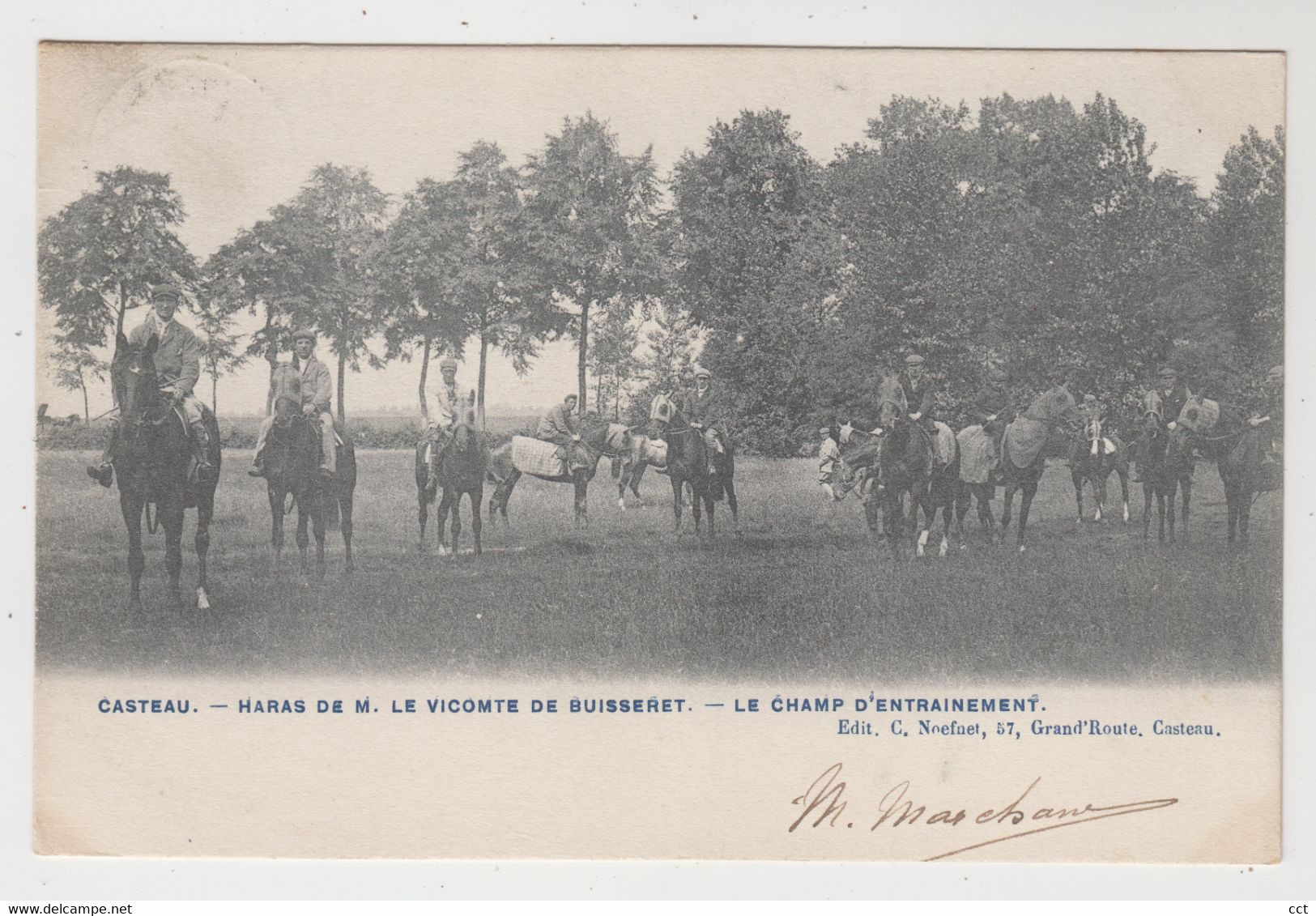 Casteau  Soignies De M Le Vicomte De Buisseret - Le Champ D'entrainement  CHEVAUX - Soignies