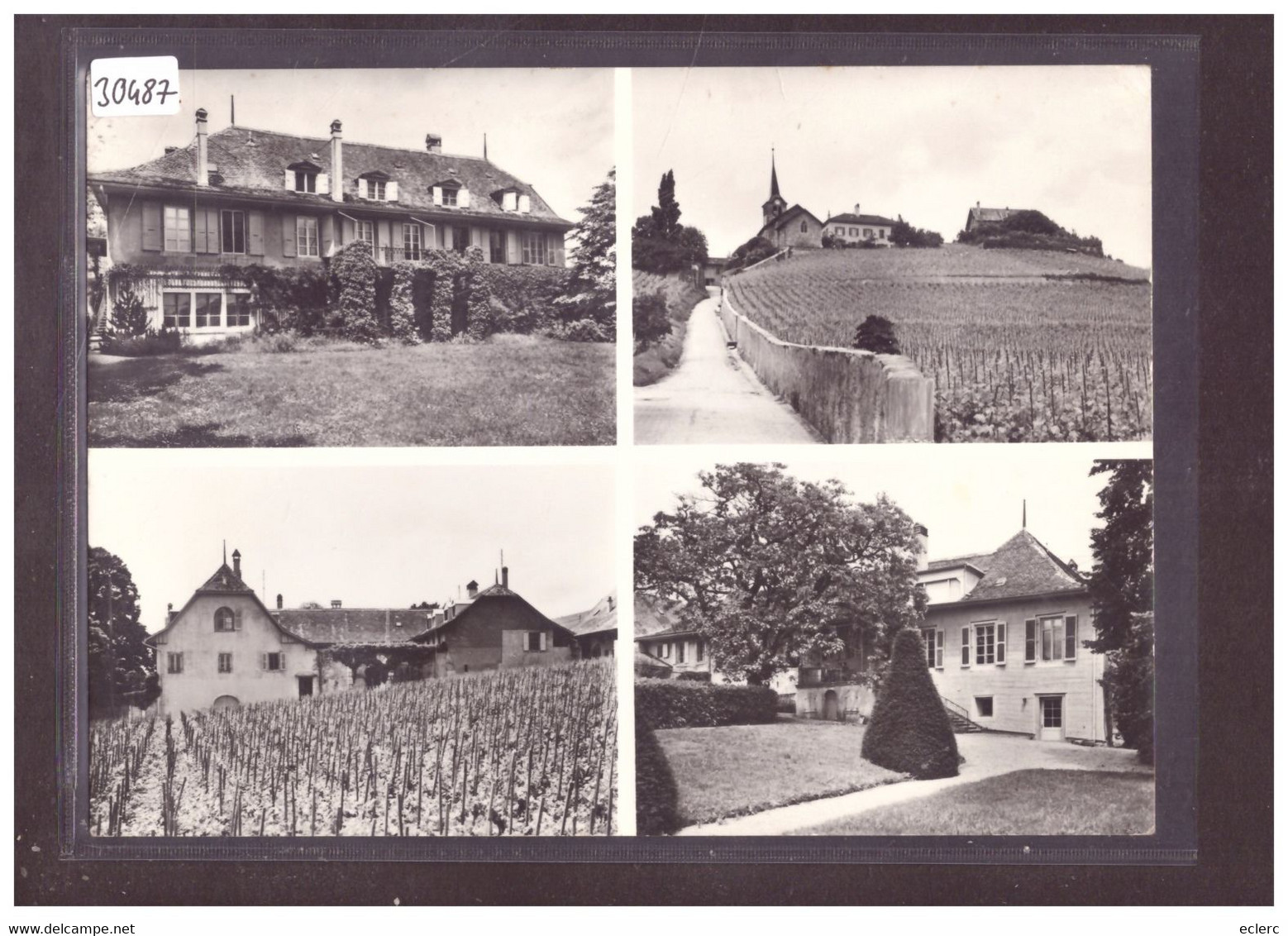 FORMAT 10x15cm - DISTRICT D'AUBONNE - FECHY - LE CHATEAU - TB - Féchy