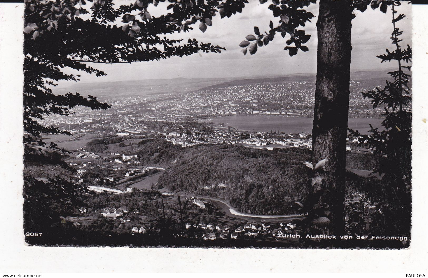 ZURICH VON DER FELSENEGG - Egg