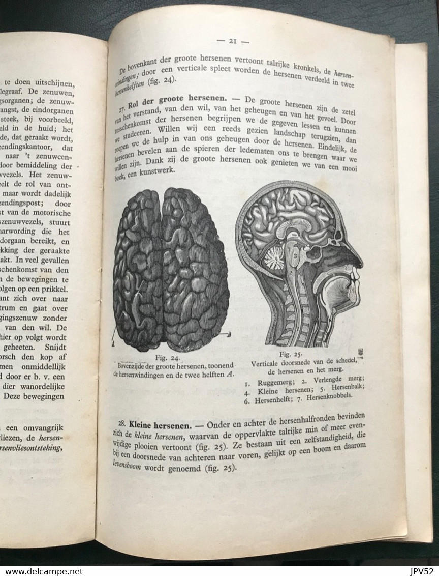 (476) De Natuurlijke Wetenschappen - 1942 - 173 Blz. - Dr. M. Crols - Escolares